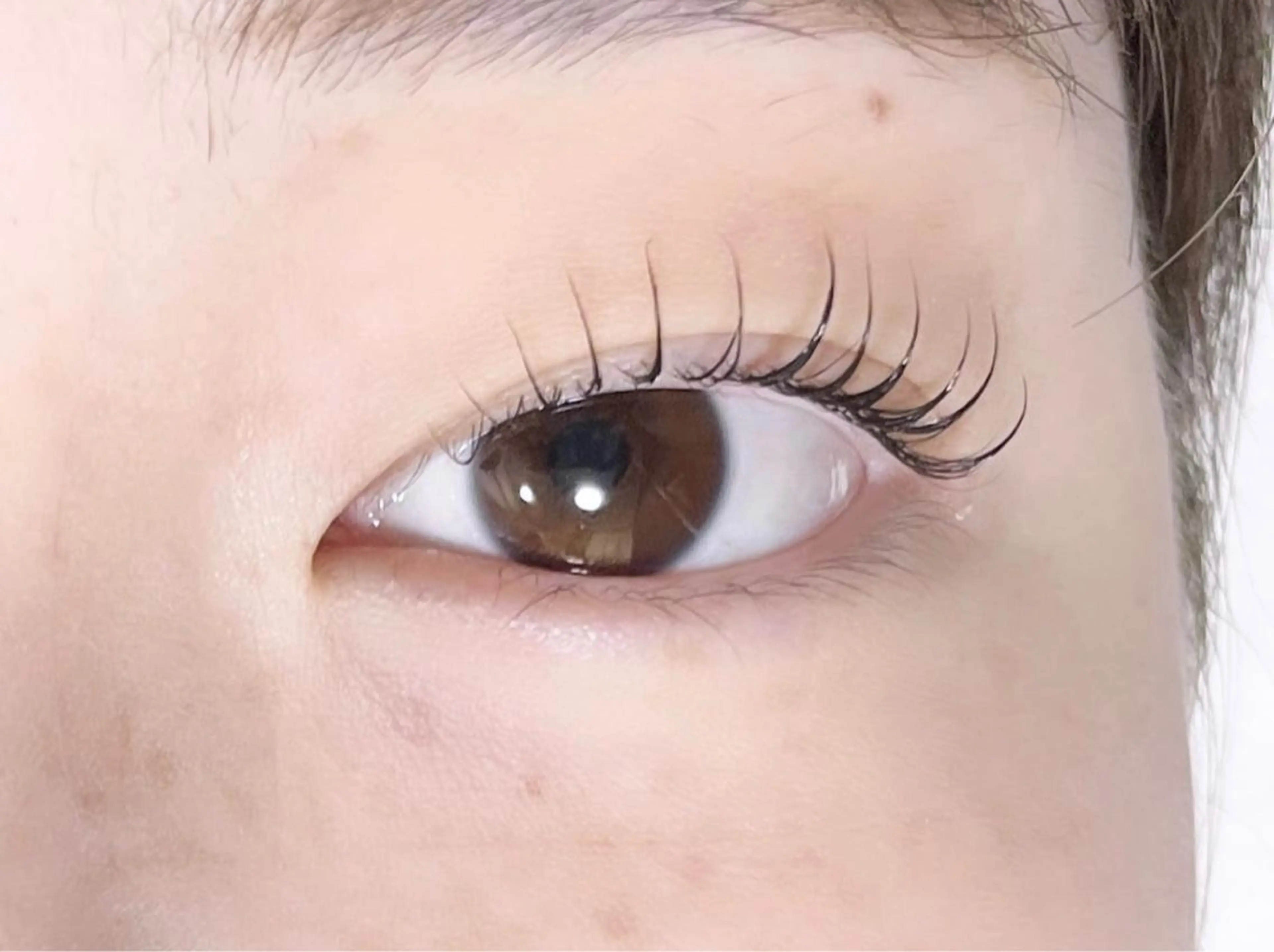 【ご新規様限定】ラッシュカール🌟¥2,980🌟の写真