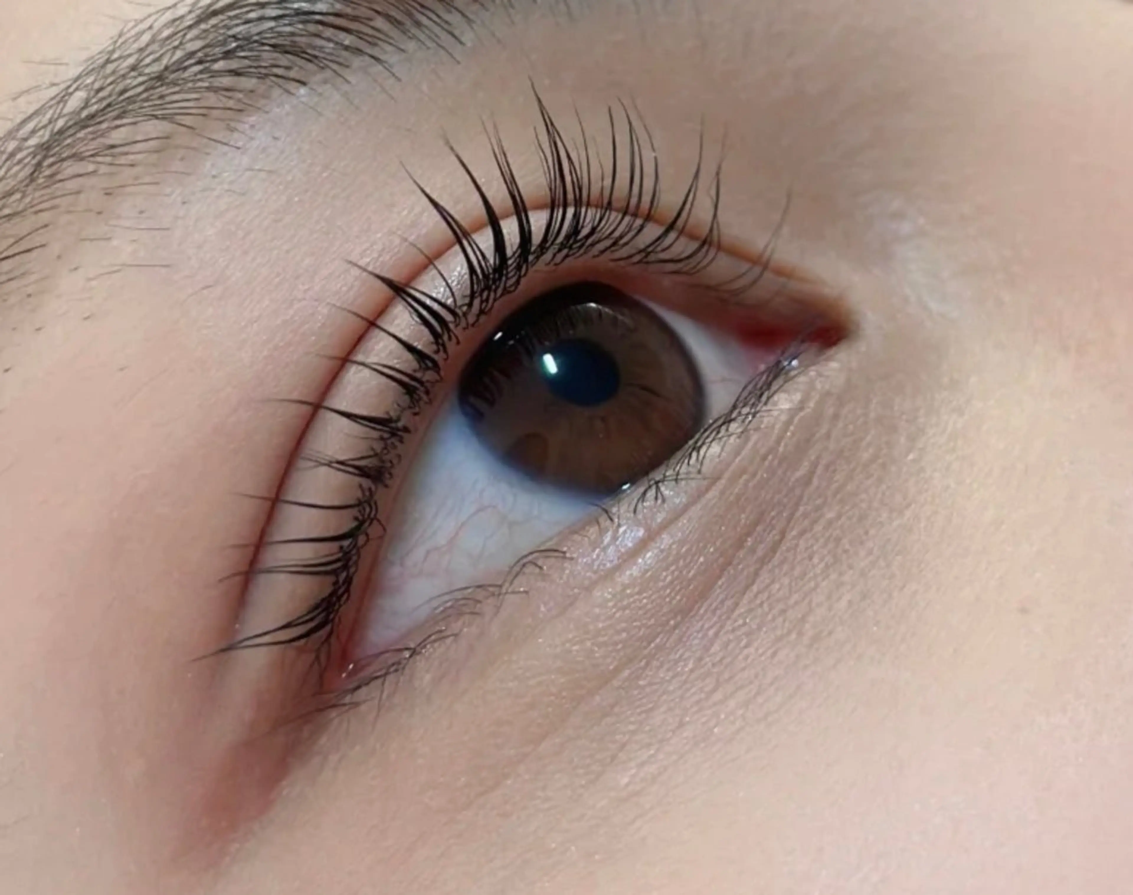 マツパメニューcカール、立ち上げ、パリジェンヌの写真