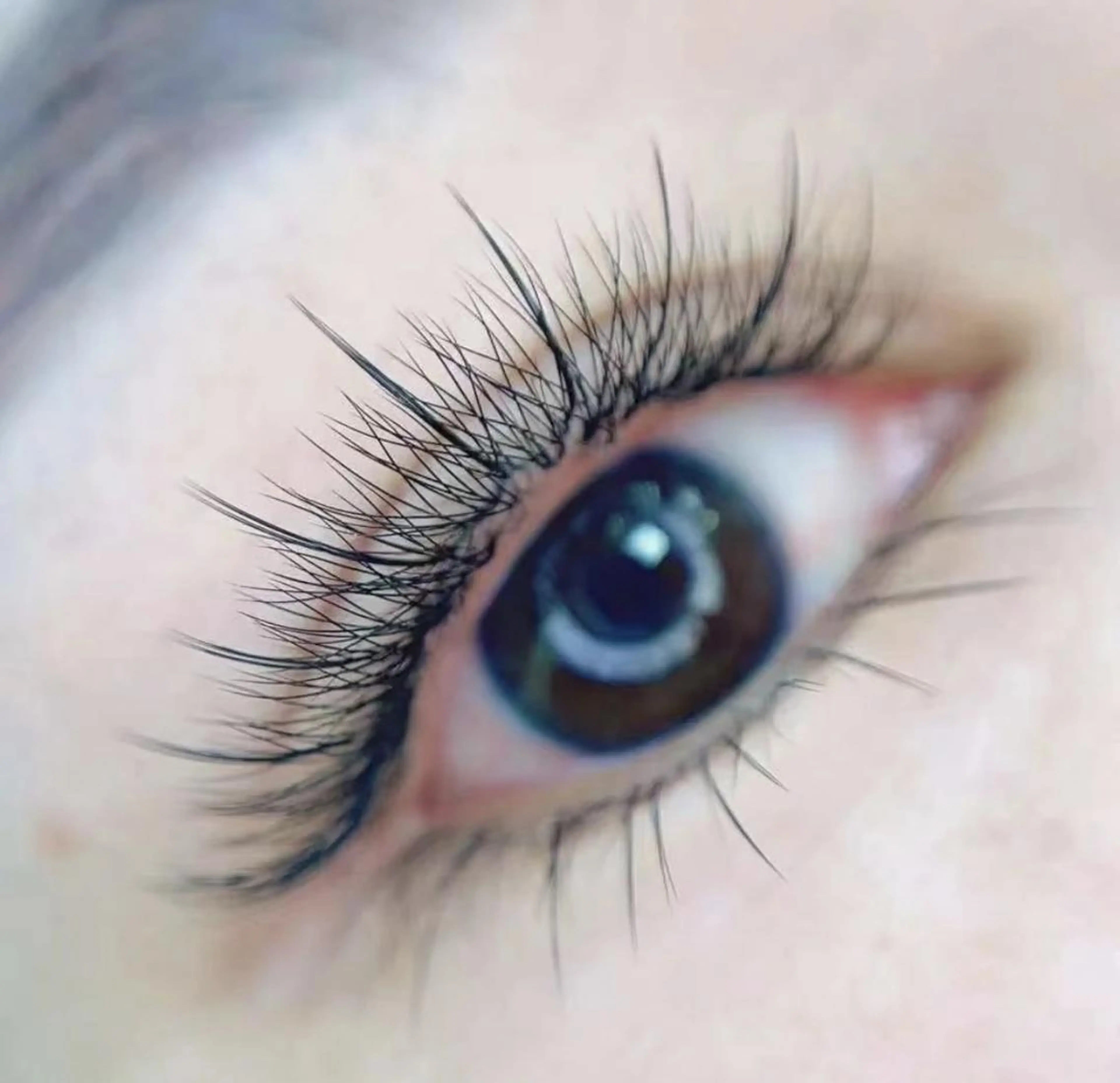 マツエク・マツパ Cute B e au t yのマツエク・マツパデザイン