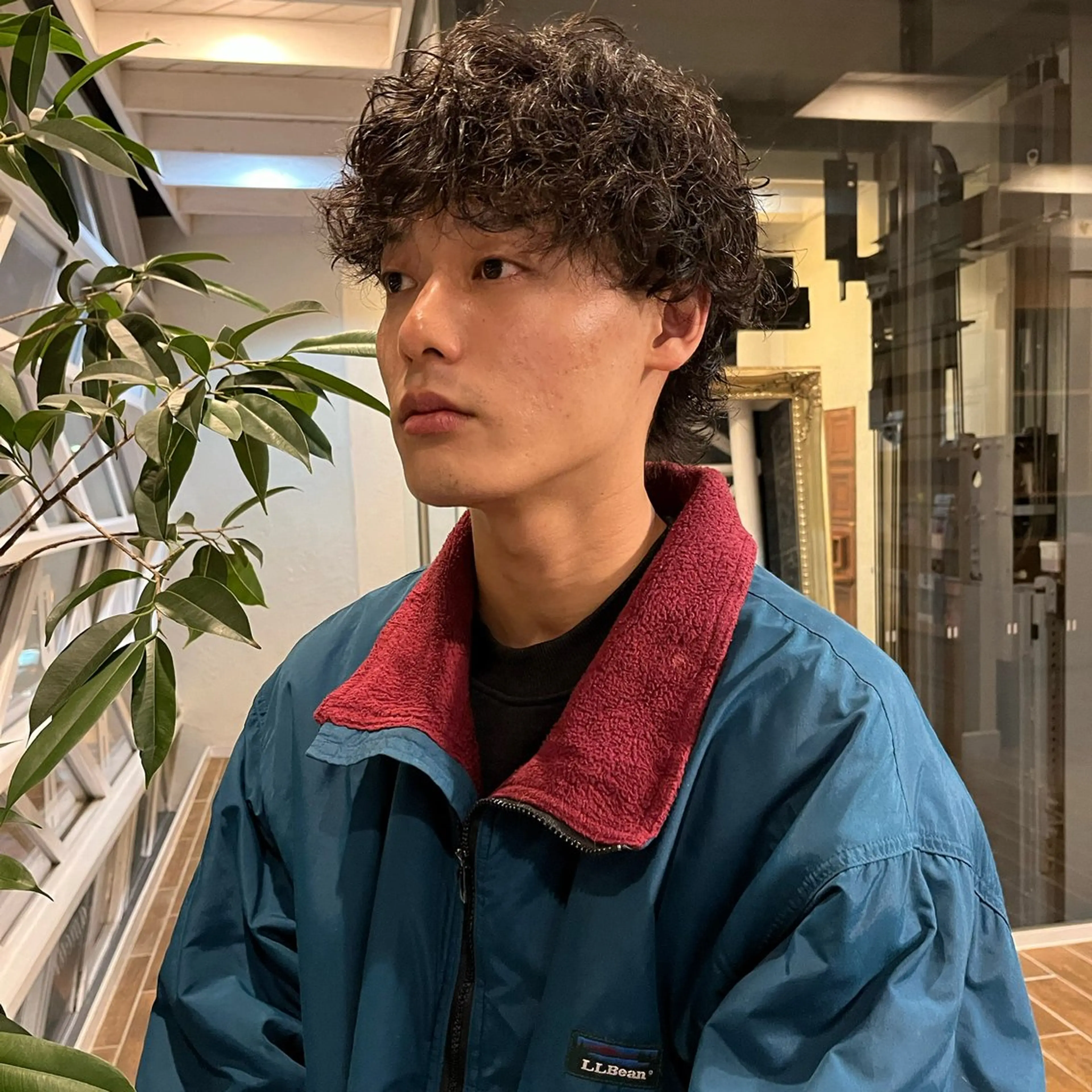 パーマ メンズ メンズパーマ 松野 心音のヘアスタイル