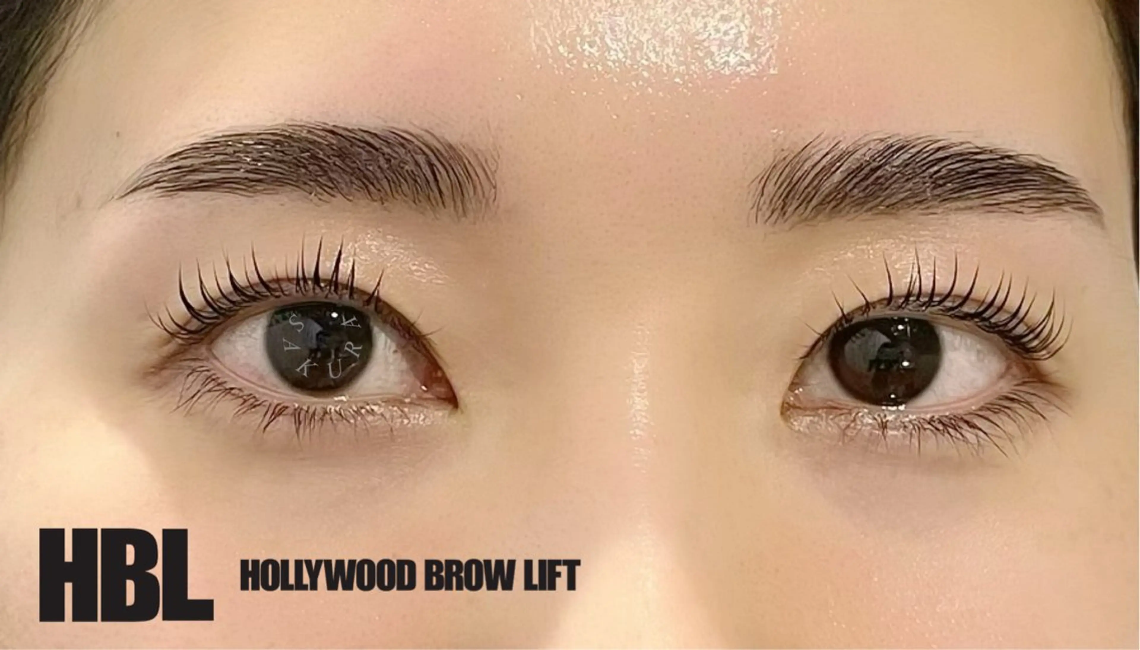 アイブロウ ハリウッドブロウリフト EYE405 SAKURAのマツエク・マツパデザイン