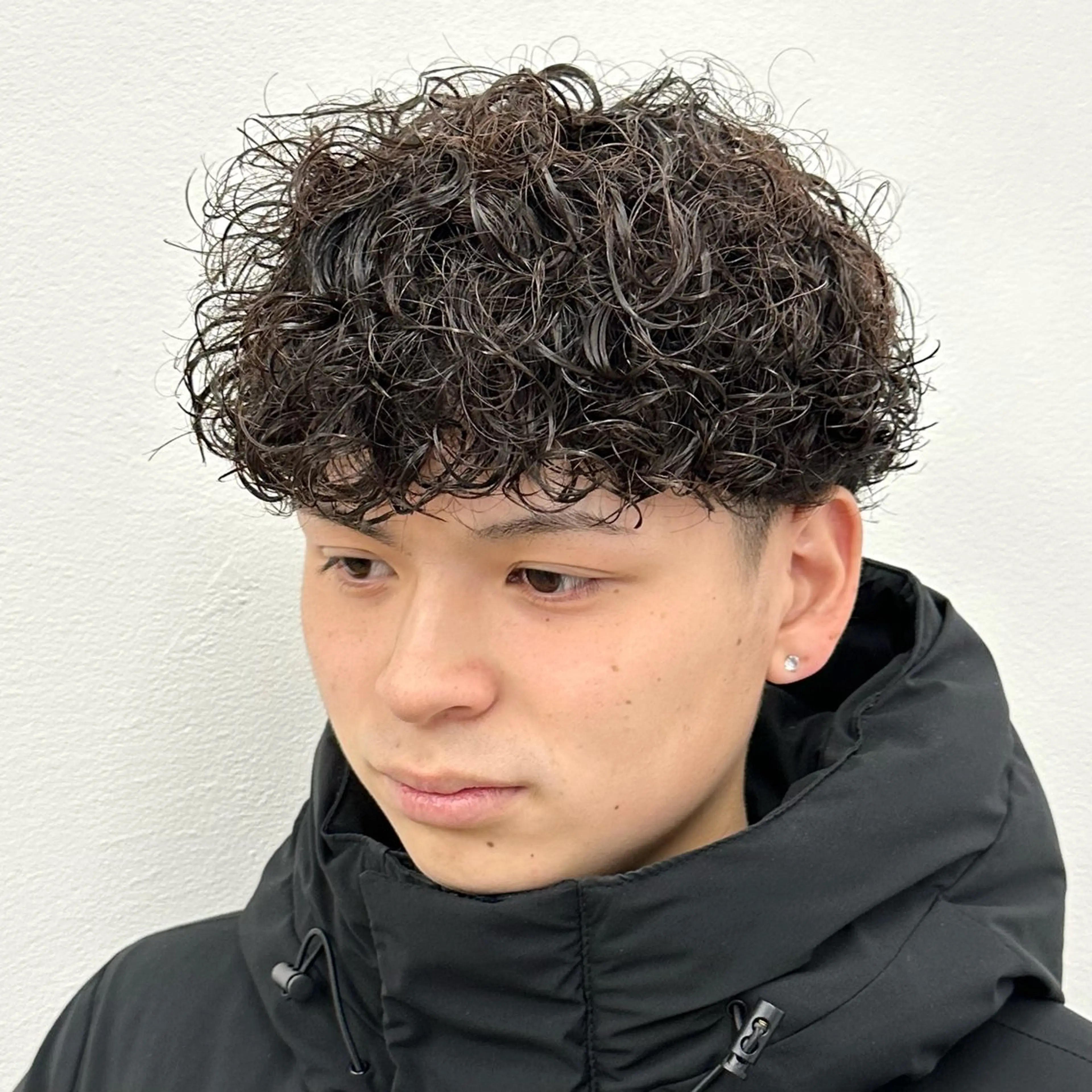 カット＋プードルorスペインカールの写真