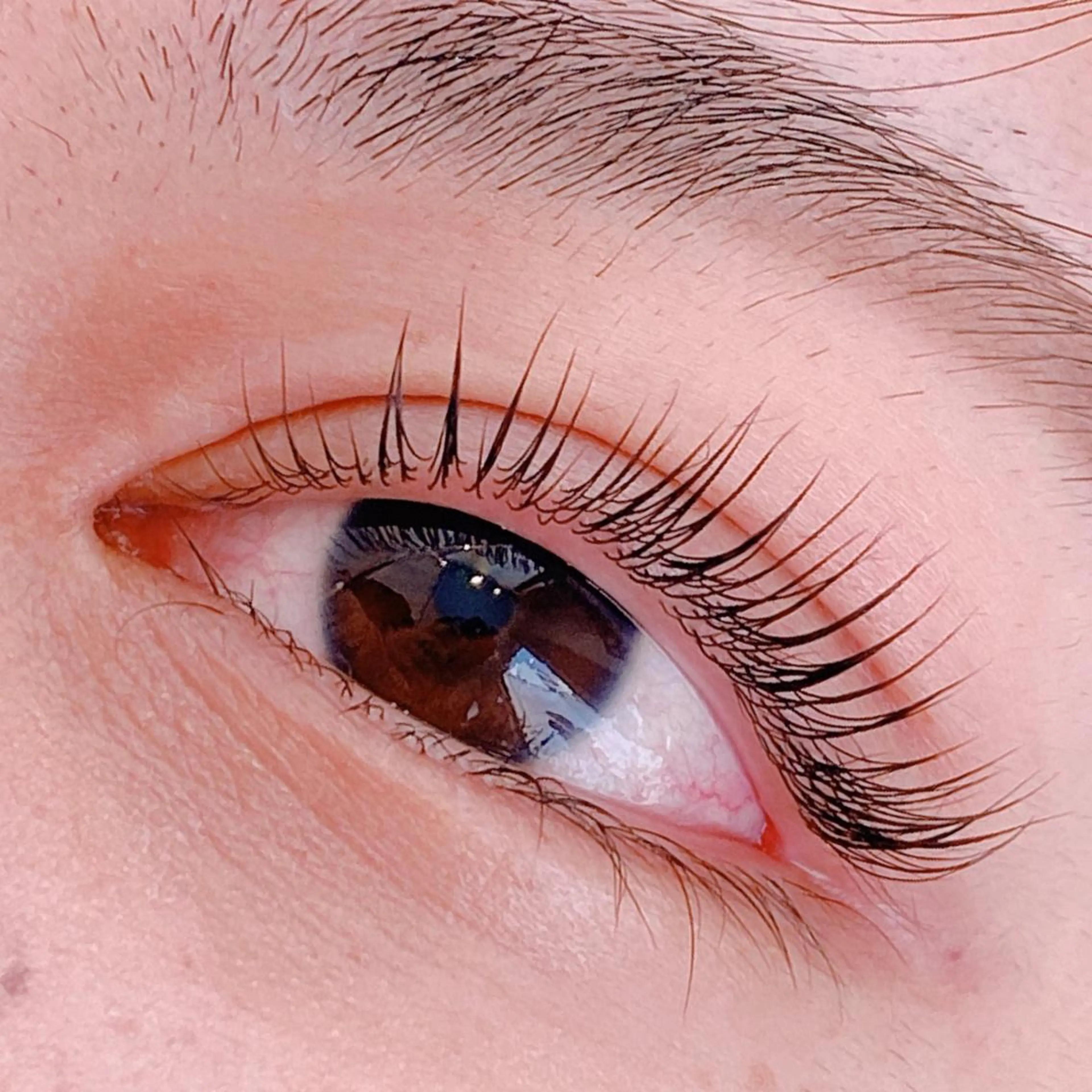 マツエク・マツパ chatran ishimochiのマツエク・マツパデザイン