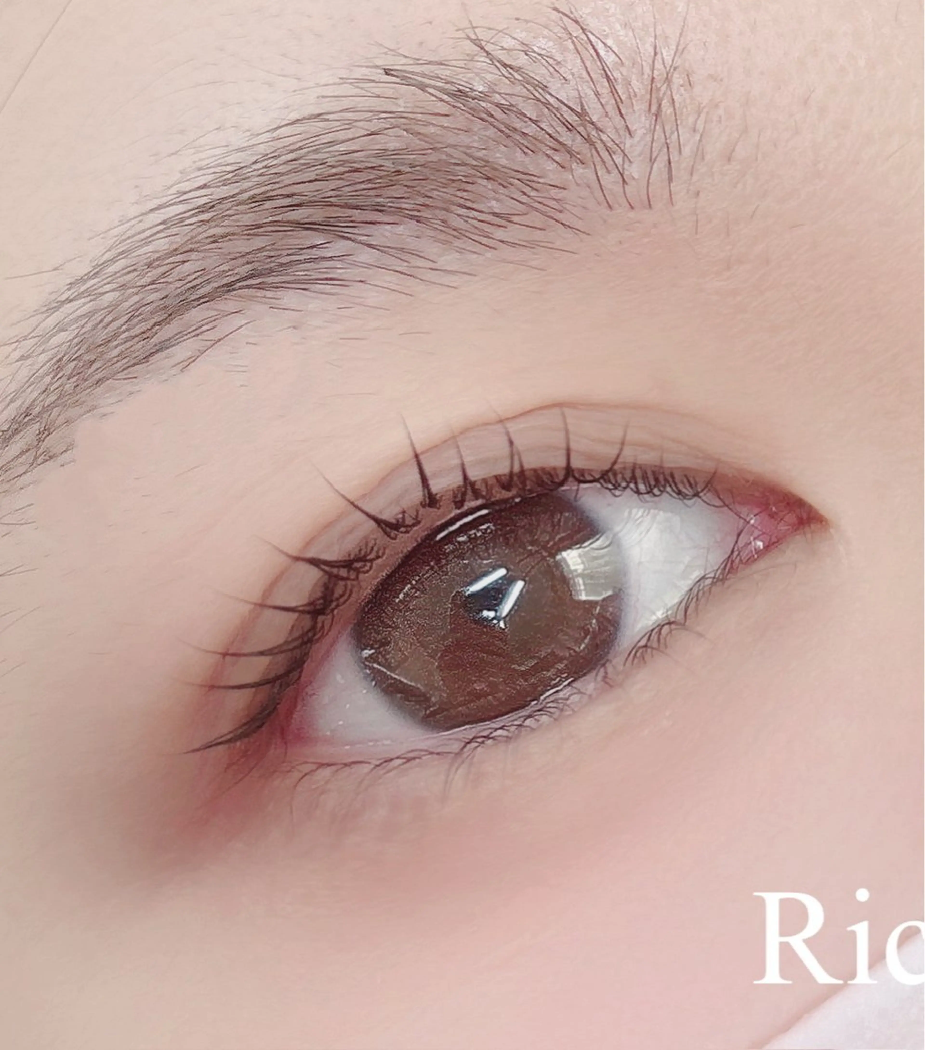 マツエク・マツパ ケラチンラッシュリフト マツパ Richel所属・常田 歩のマツエク・マツパデザイン