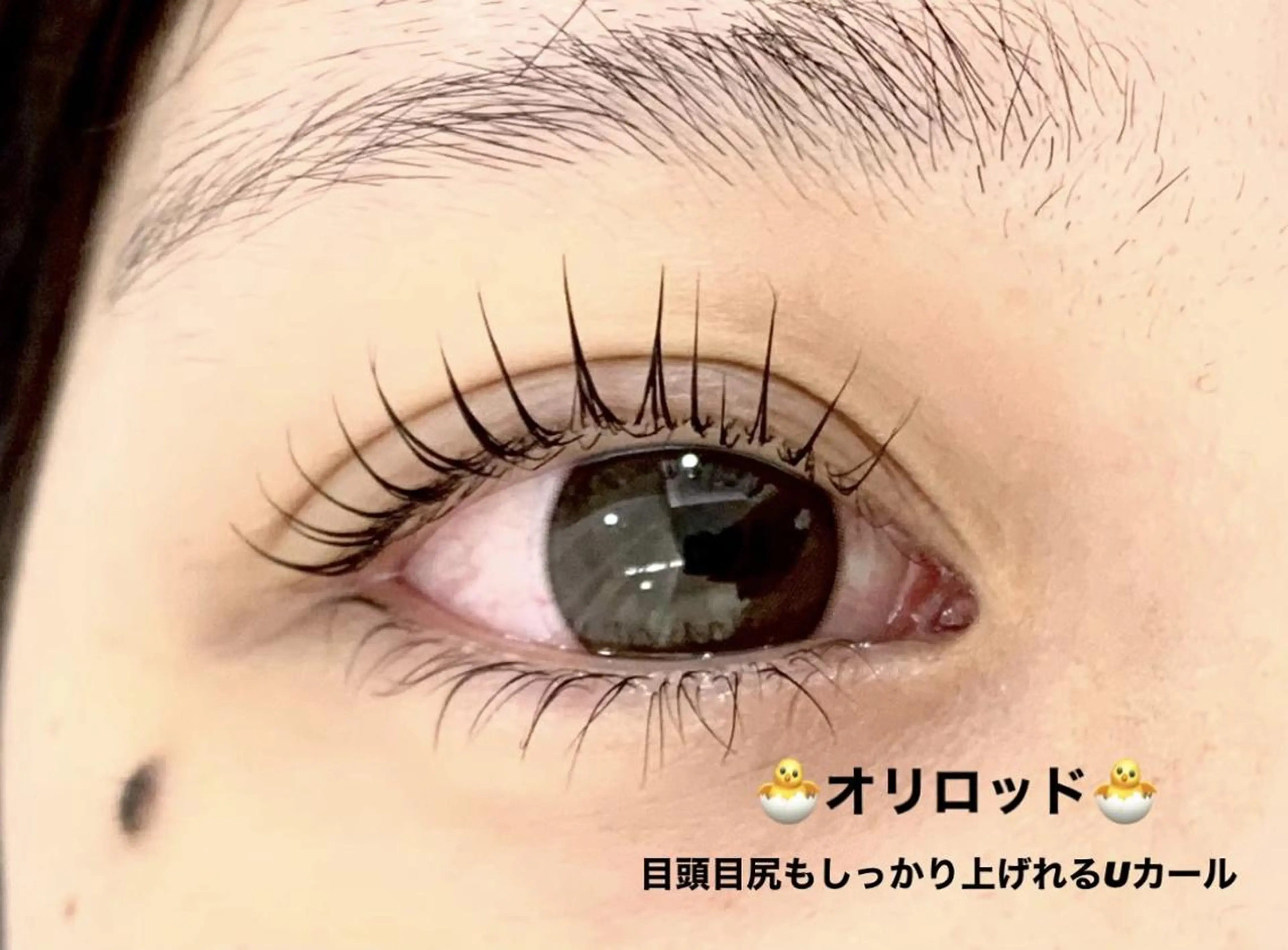 マツエク・マツパ プラスアイ 蒲田西口店のマツエク・マツパデザイン