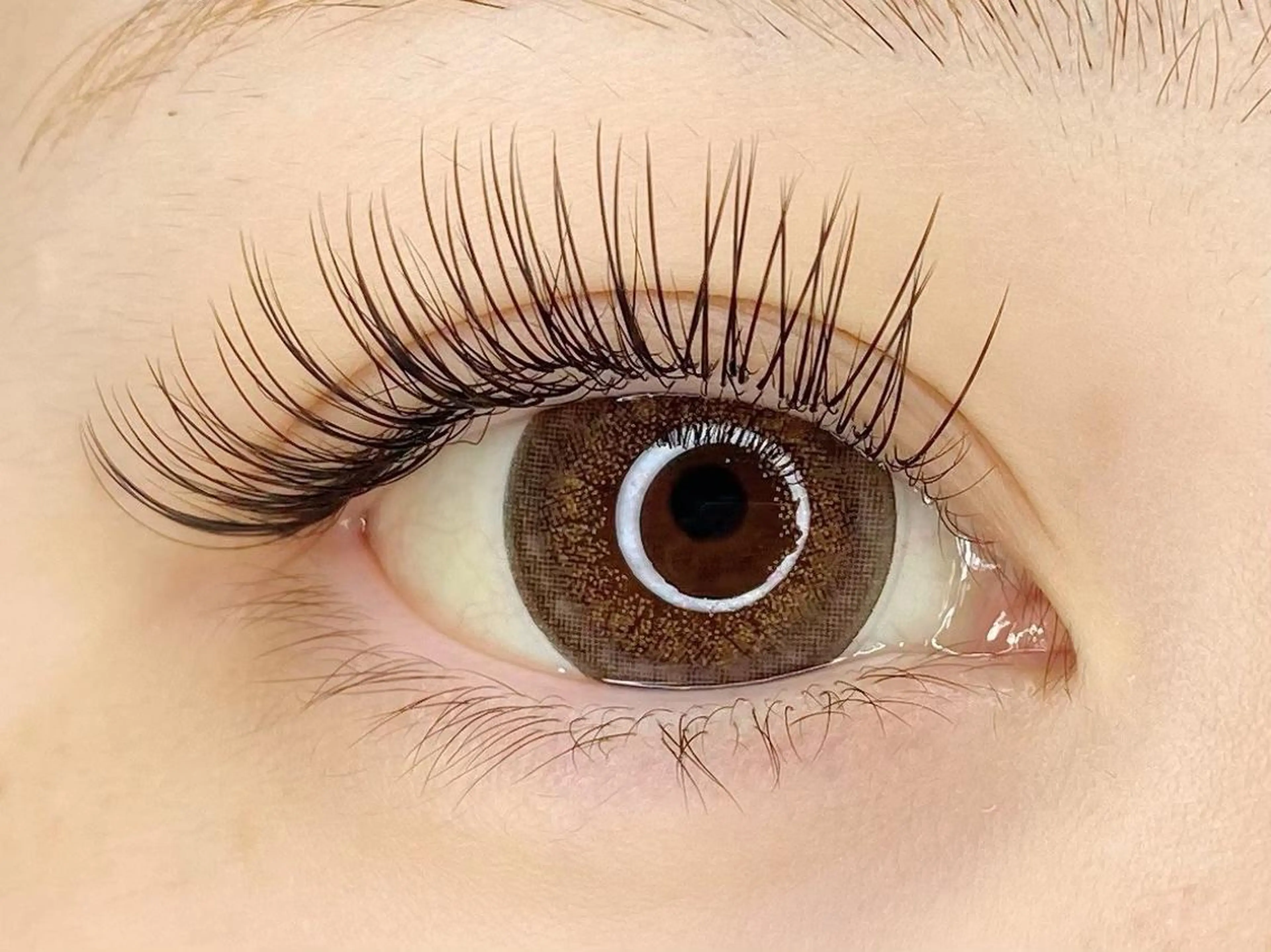 【🤍minimo限定価格🤍】フラットラッシュ120本の写真