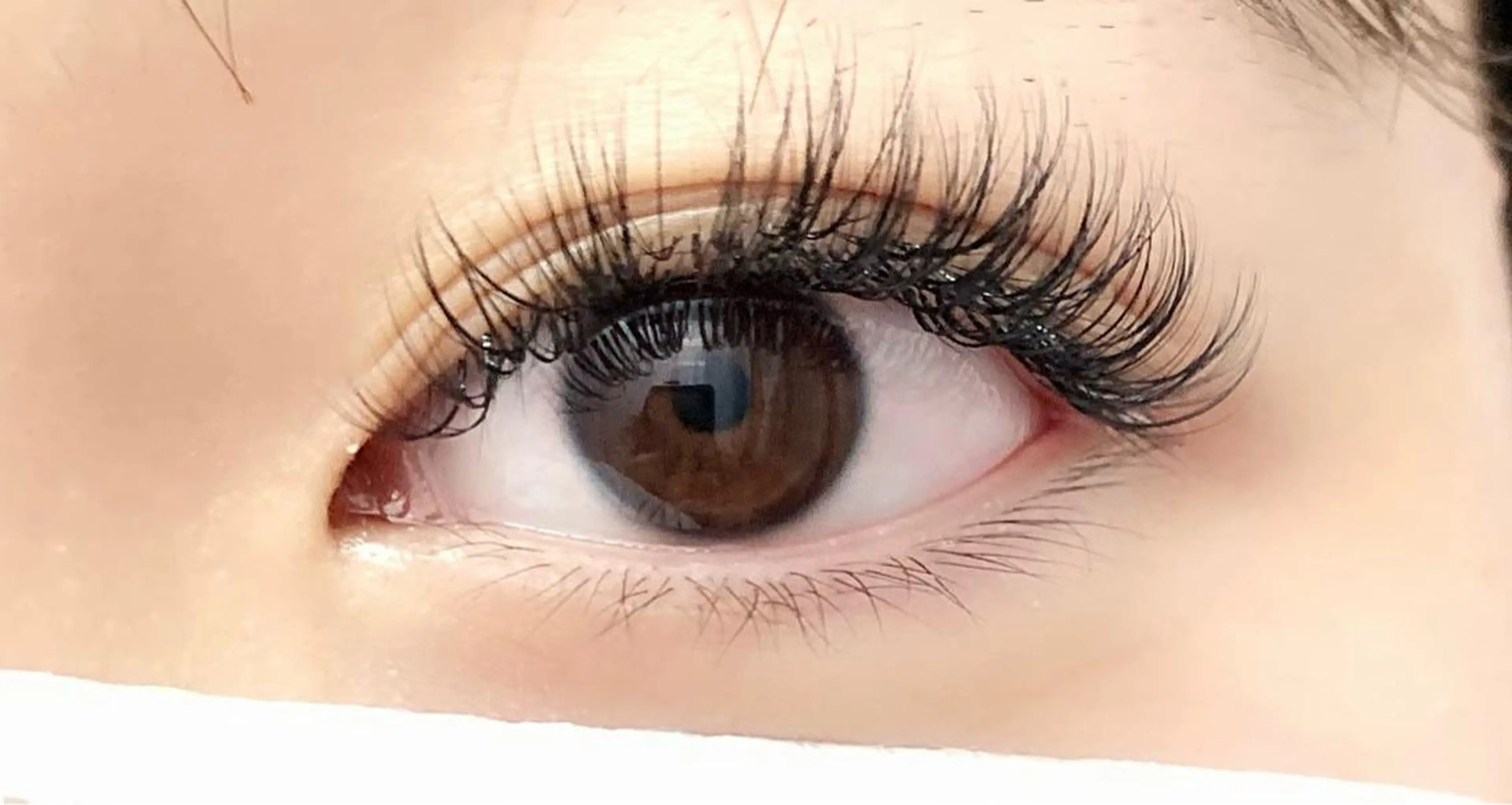 マツエク・マツパ eyelash  salon fまつエク・まつげパーマ【フランク】所属・eyelash f　香里園のマツエク・マツパデザイン