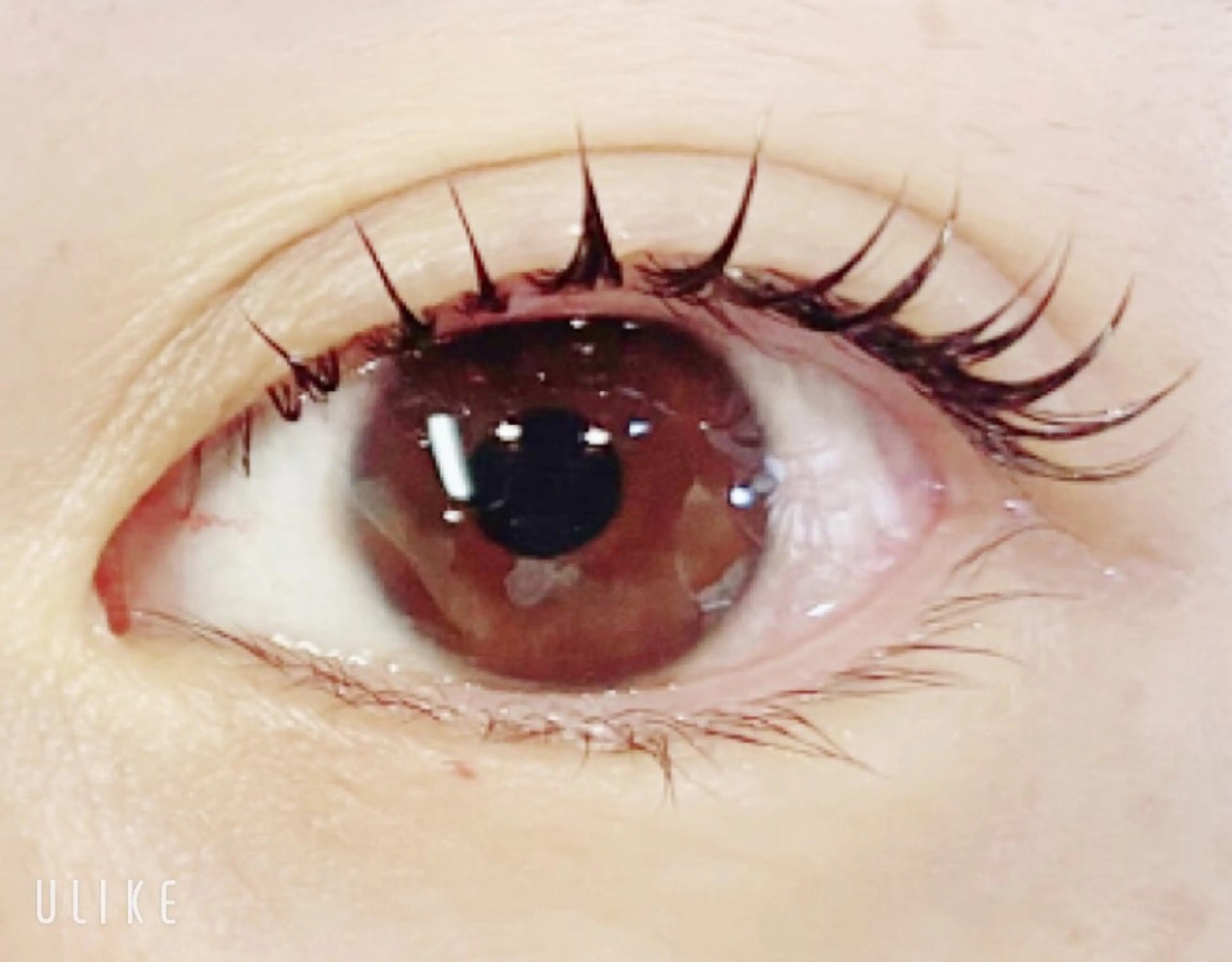 マツエク・マツパ 一重×まつ毛パーマ マツパ Rairia nail&eyelash所属・Rairia CHIKAのマツエク・マツパデザイン