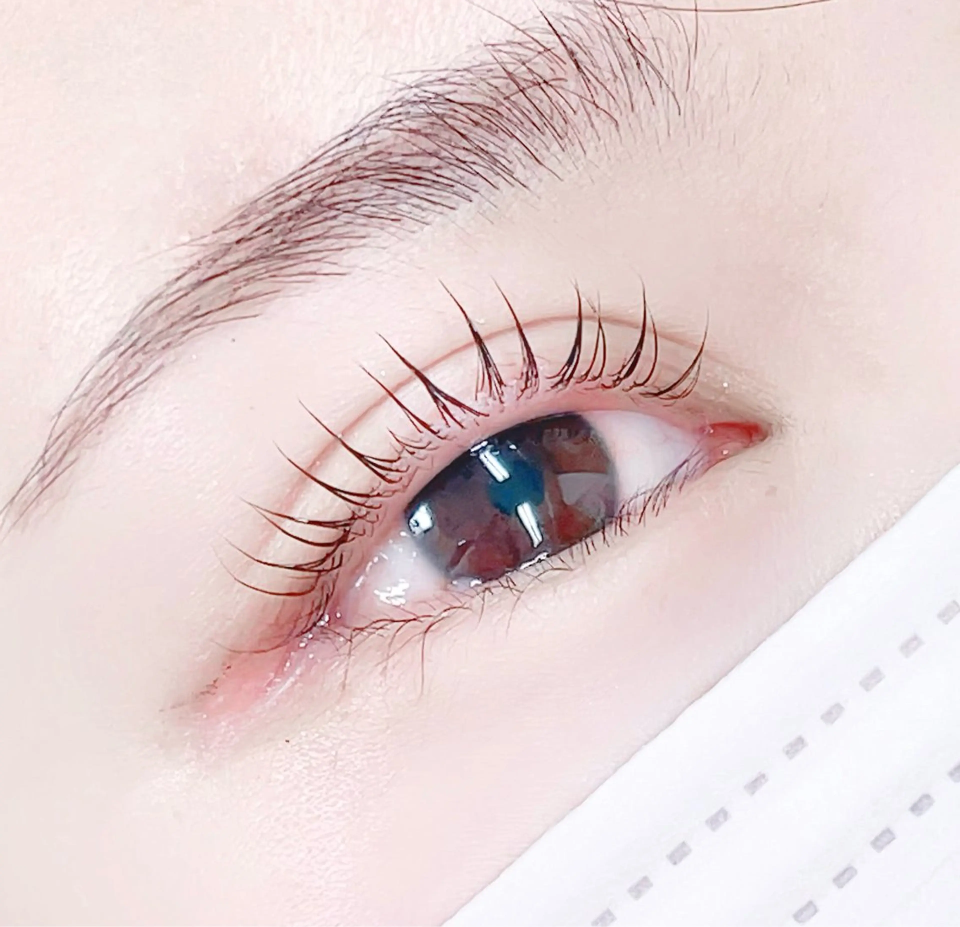 マツエク・マツパ R🌹 ⁺⊹˚.のマツエク・マツパデザイン