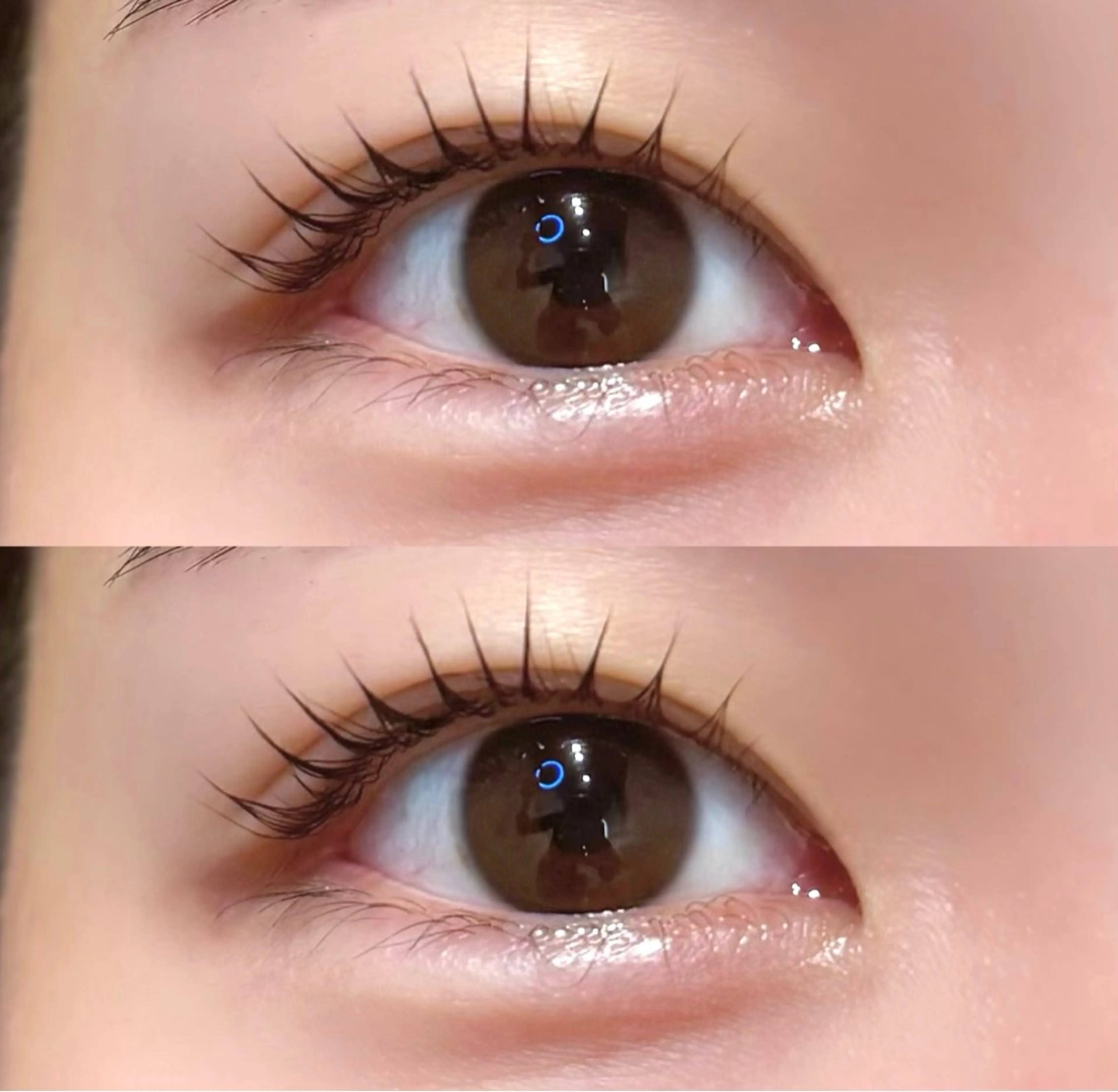 マツエク・マツパ パリジェンヌラッシュリフト BELME mimi chihiroの眉毛・アイブロウイメージ