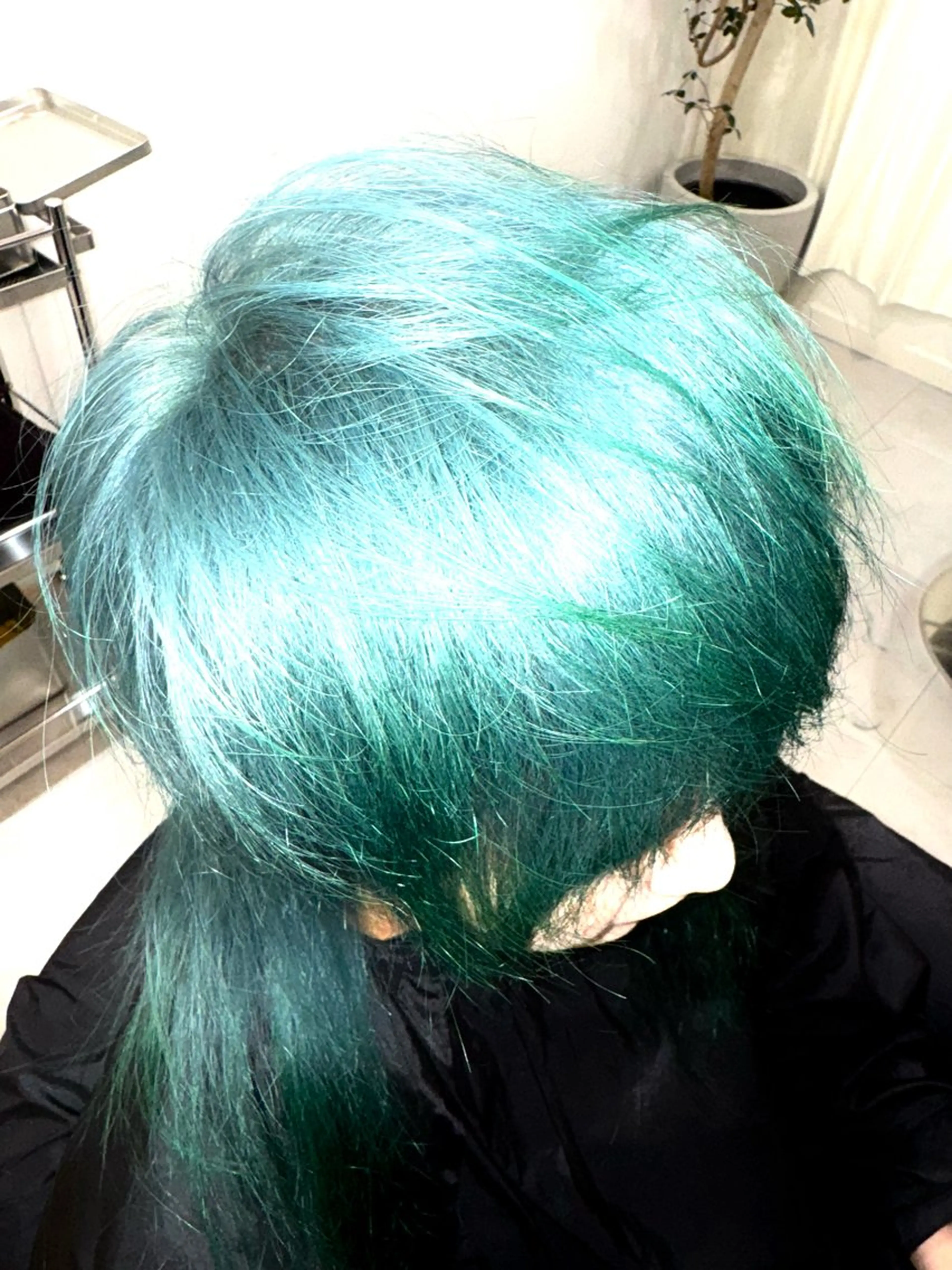 ショート カラー ハイトーンカラー ヘアカラー トリートメント ハイトーン/レイヤー /ウルフ⭐️永田⭐️のヘアスタイル