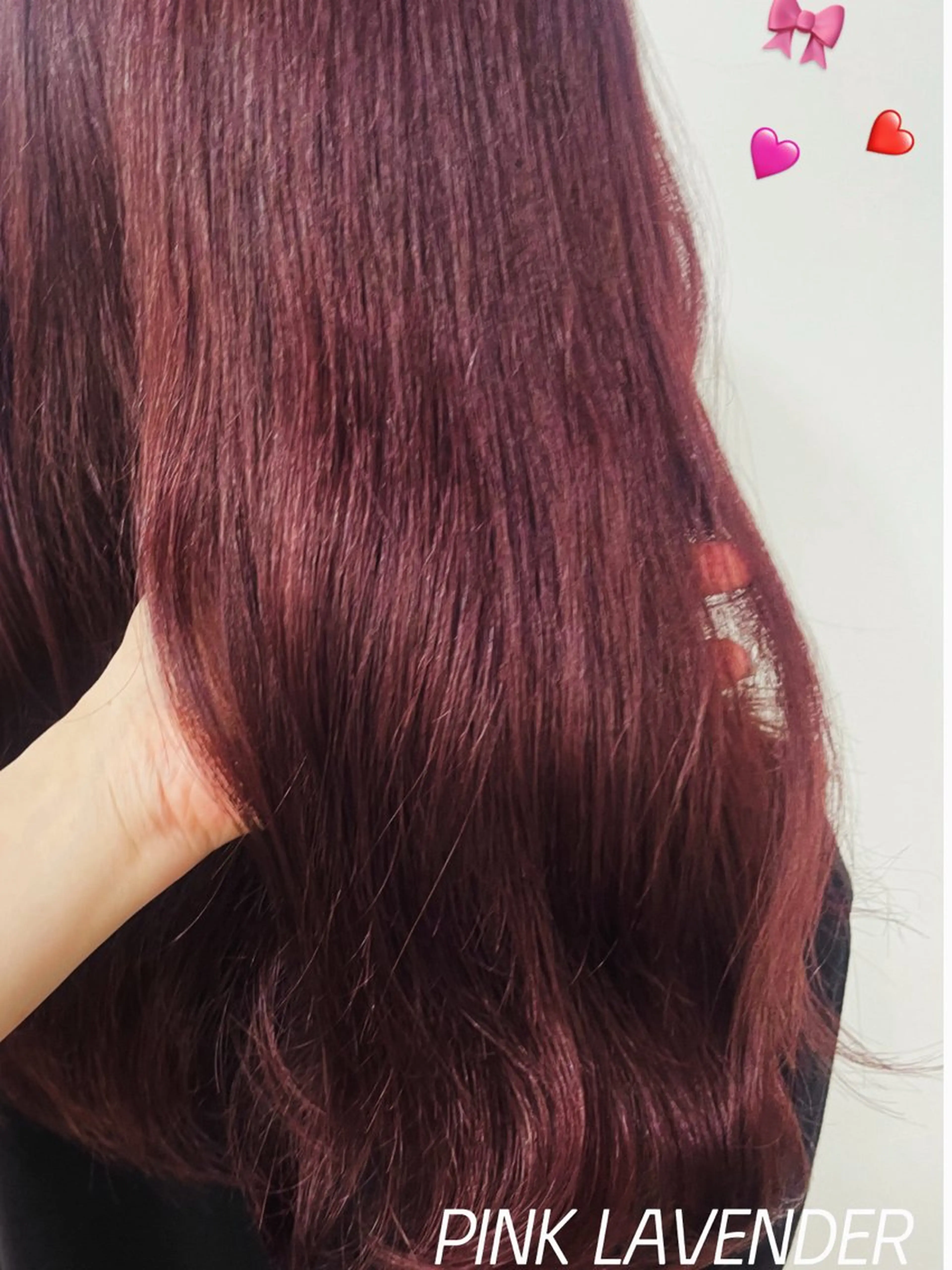 ワンカラーの写真