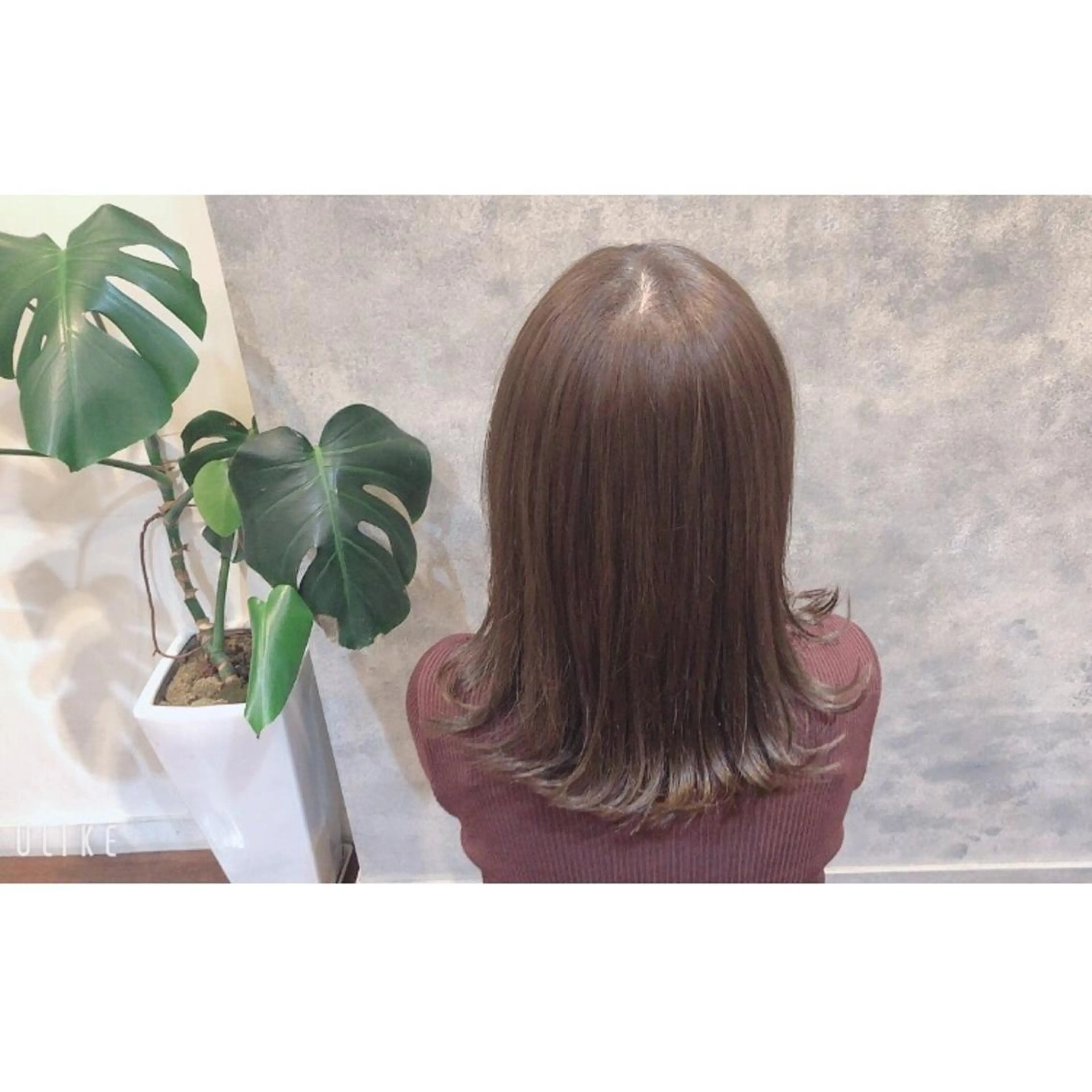 🌿頭皮改善小顔ヘッドスパの写真