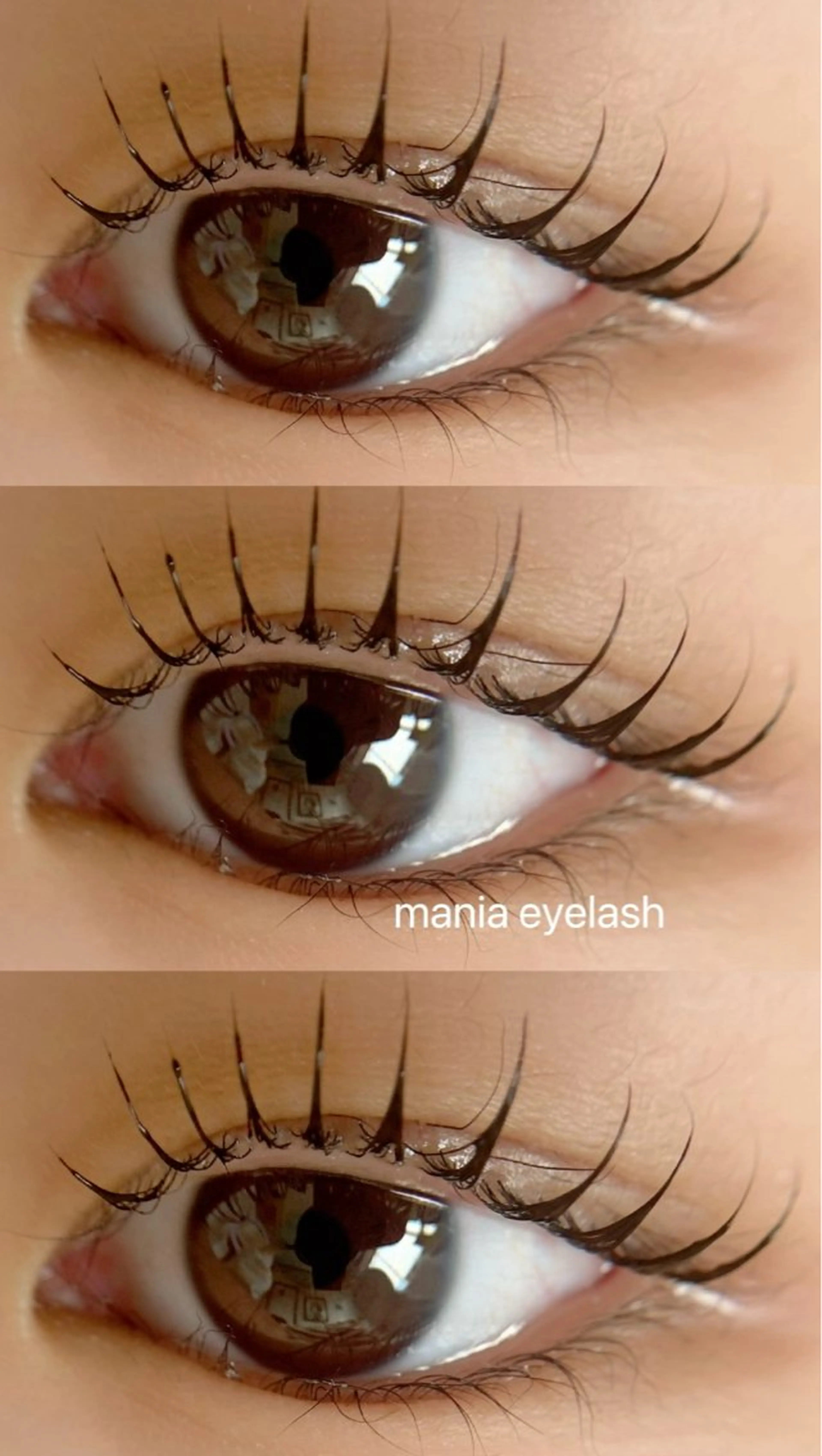 マツエク・マツパ mania所属・eyelash eyebrowsのマツエク・マツパデザイン