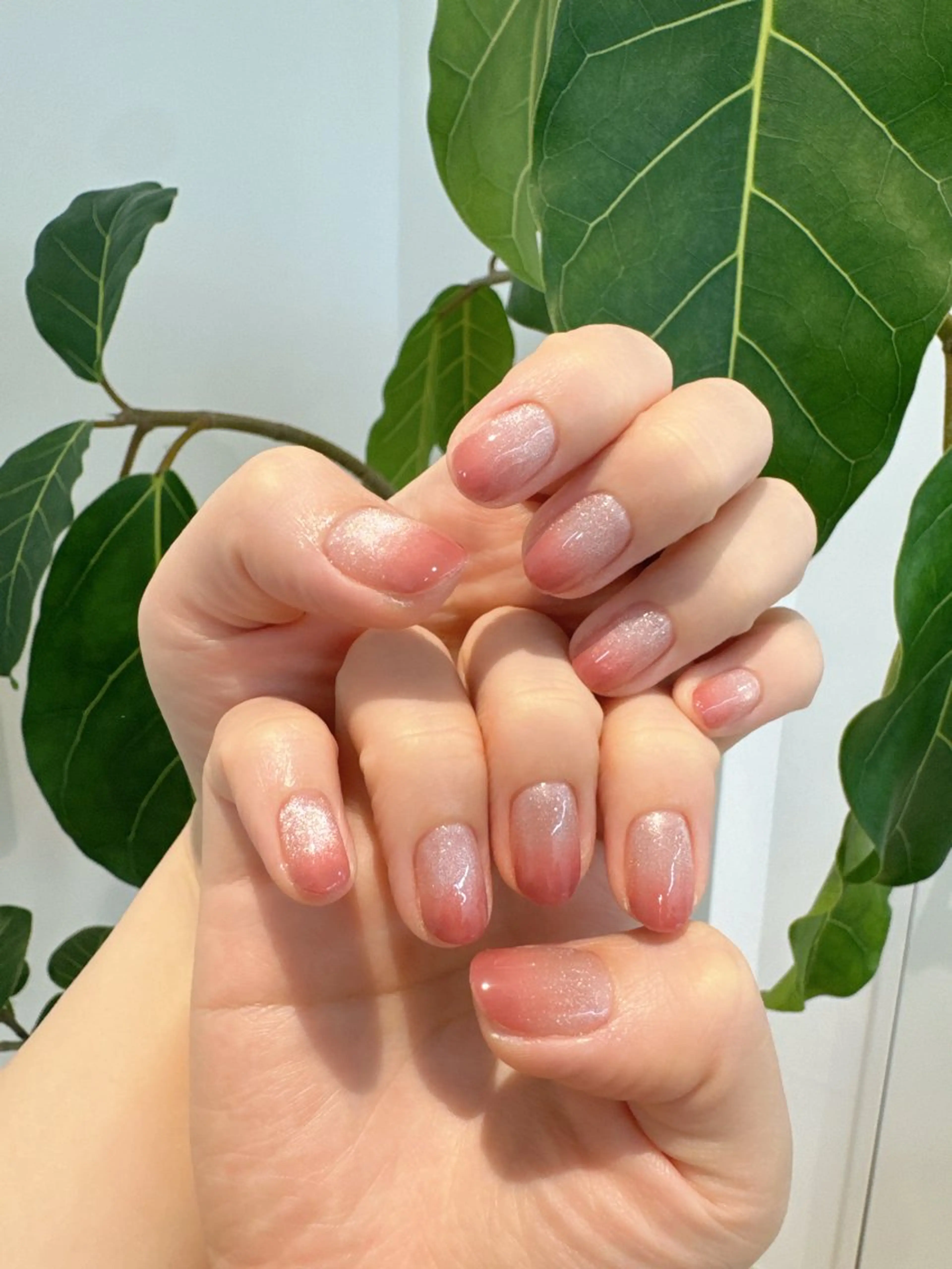 マグネット+ワンカラーグラデ【オフ無料】🌛🤎モデル練習募集の写真