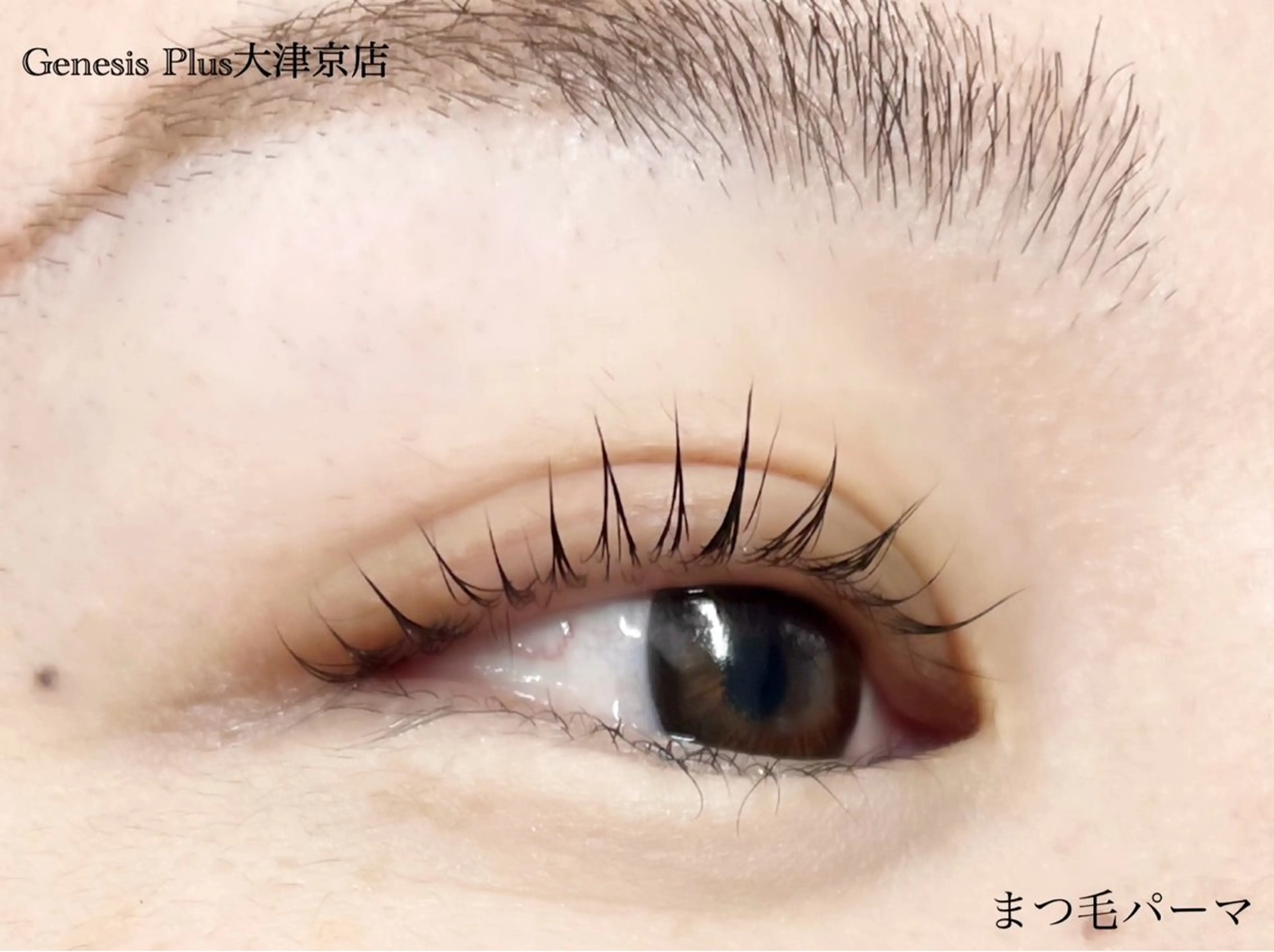 マツエク・マツパ まつげパーマ マツパ Genesis Plus大津京店のエステ・リラクイメージ