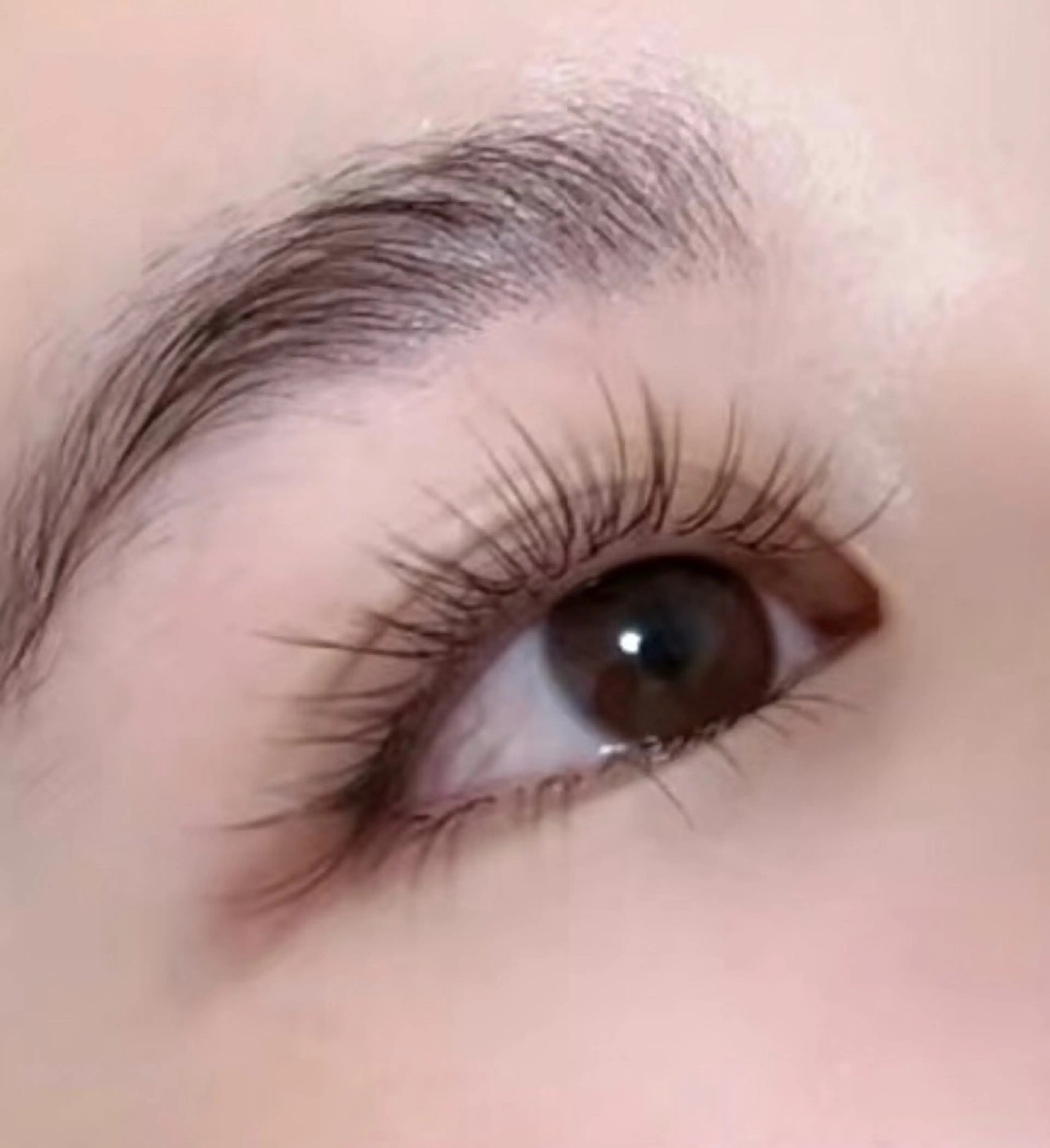 フラットマットラッシュ120本の写真
