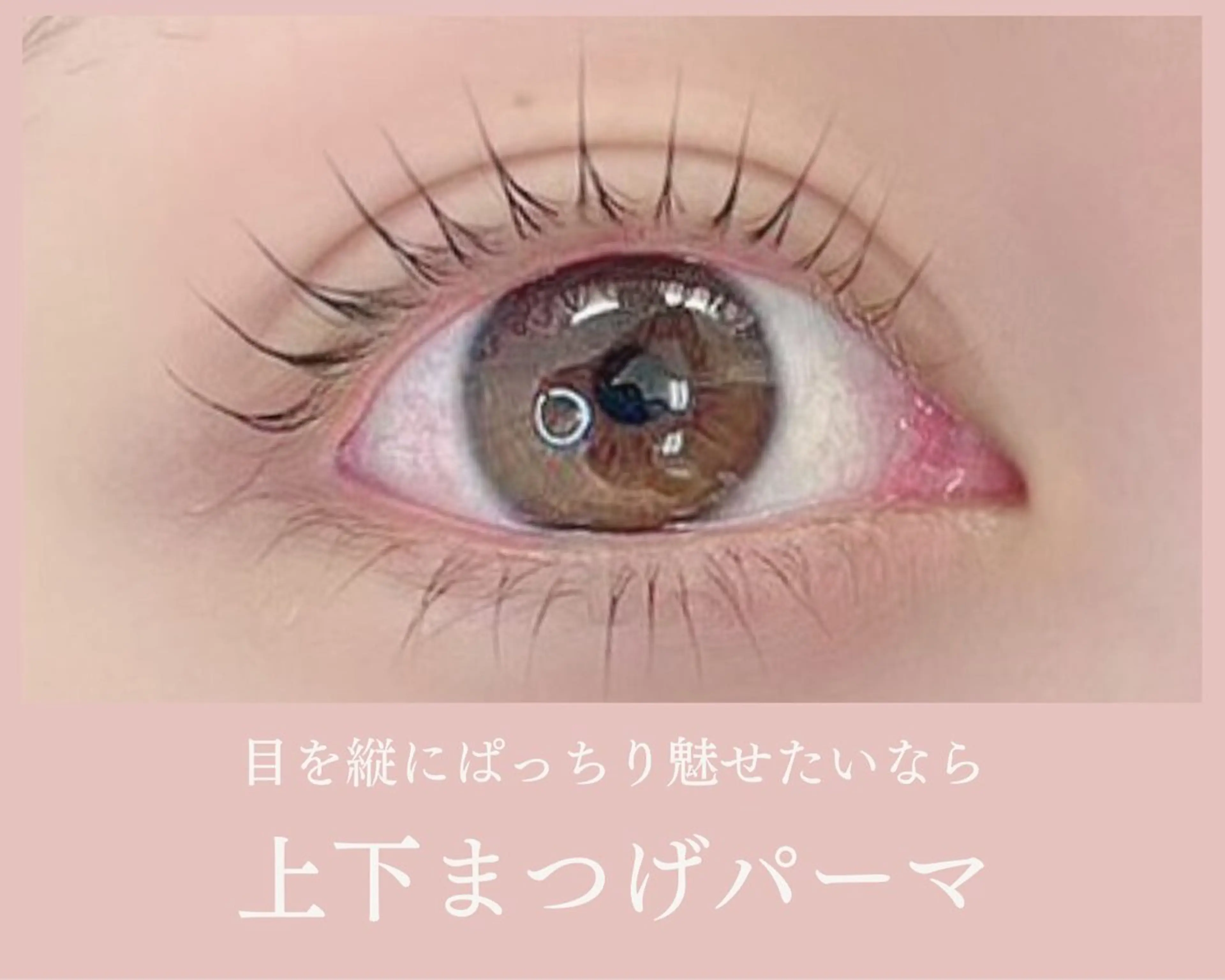 マツエク・マツパ まつげパーマ 下まつげエクステ 滝澤 華奈の眉毛・アイブロウイメージ