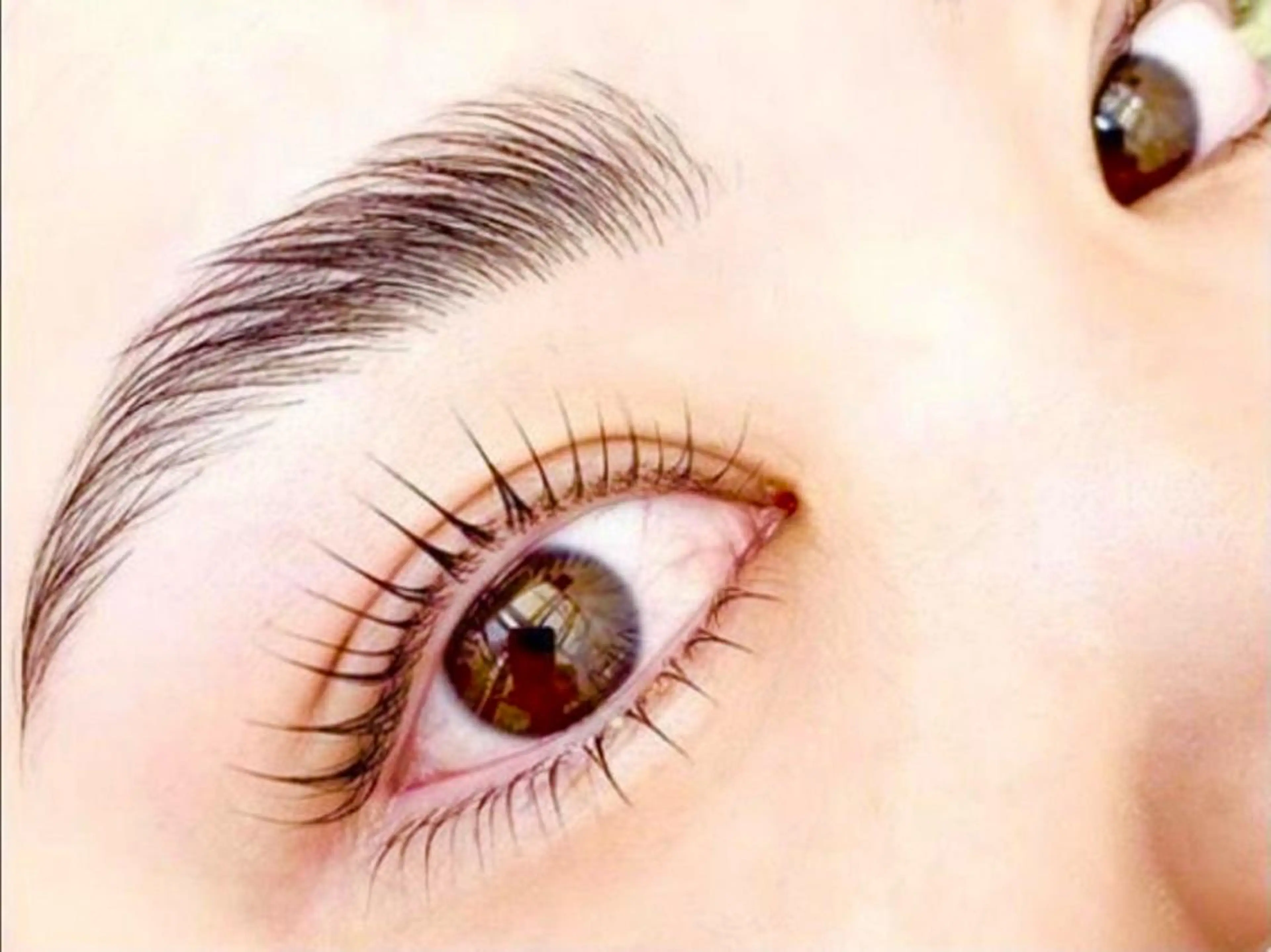 アイブロウ ワックス脱毛 眉カット その他(アイブロウ) collet eye 🤍 渡辺ほのかの眉毛・アイブロウイメージ