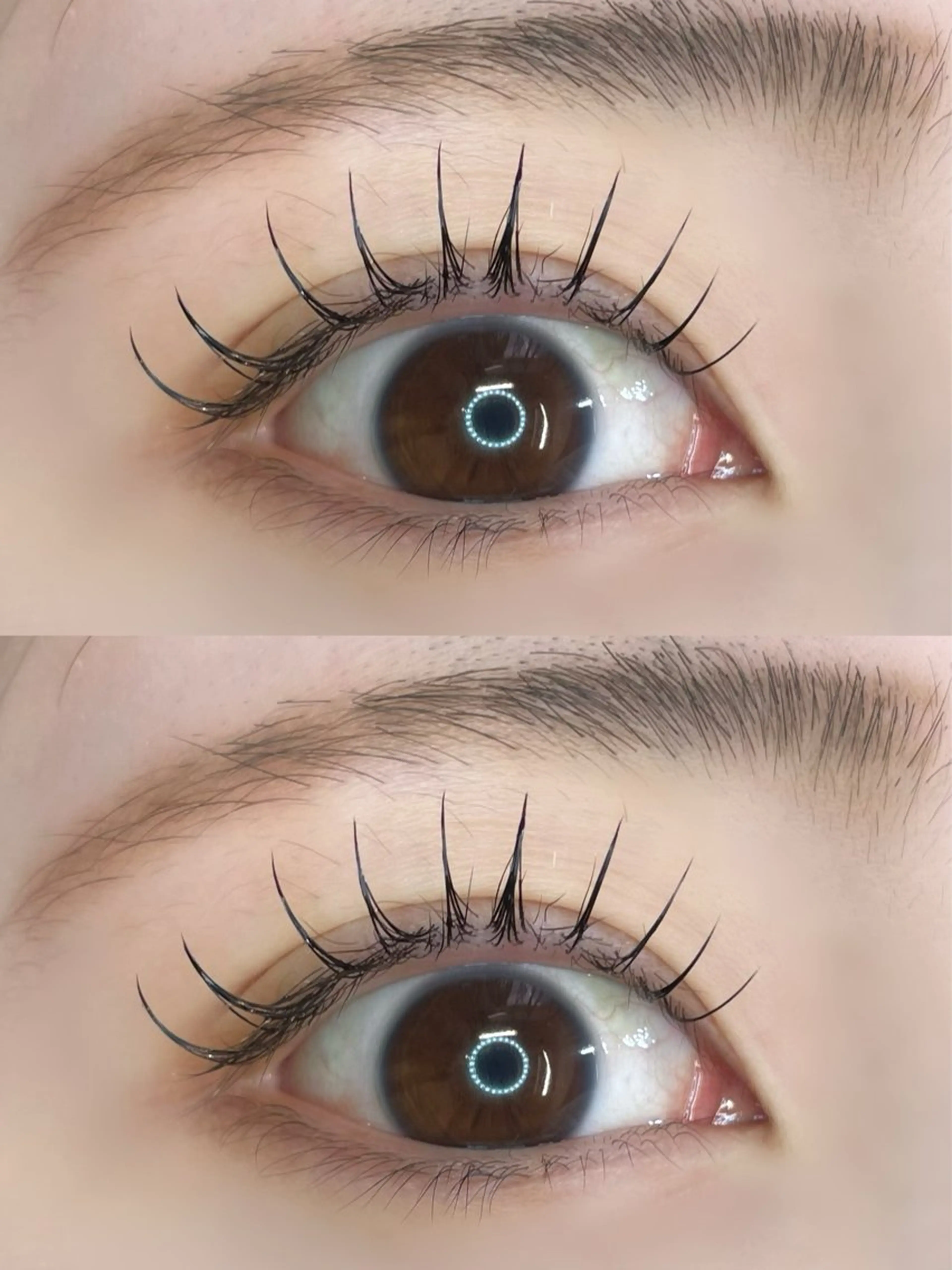 🖤フラットラッシュ🖤100本の写真