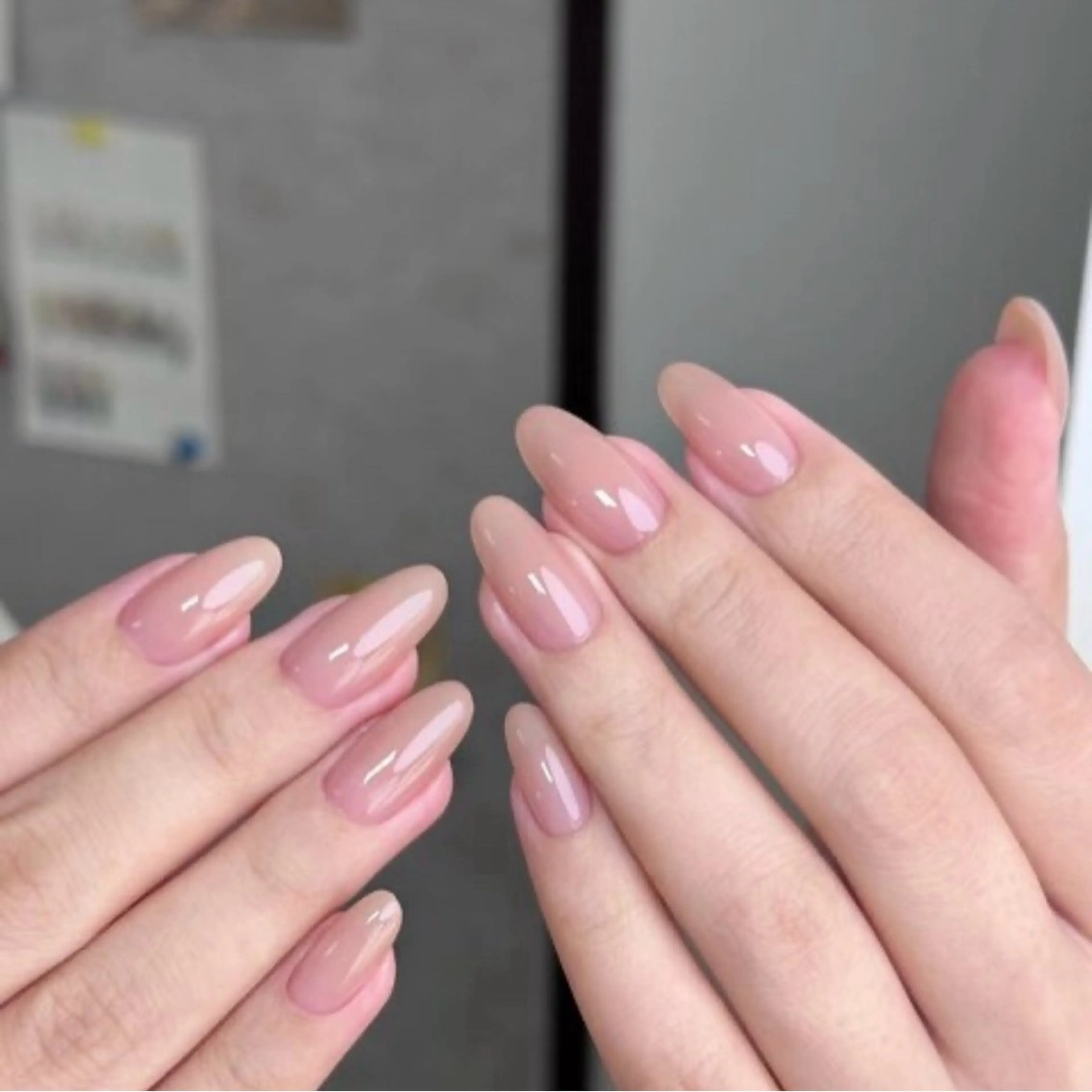 ワンカラーの写真