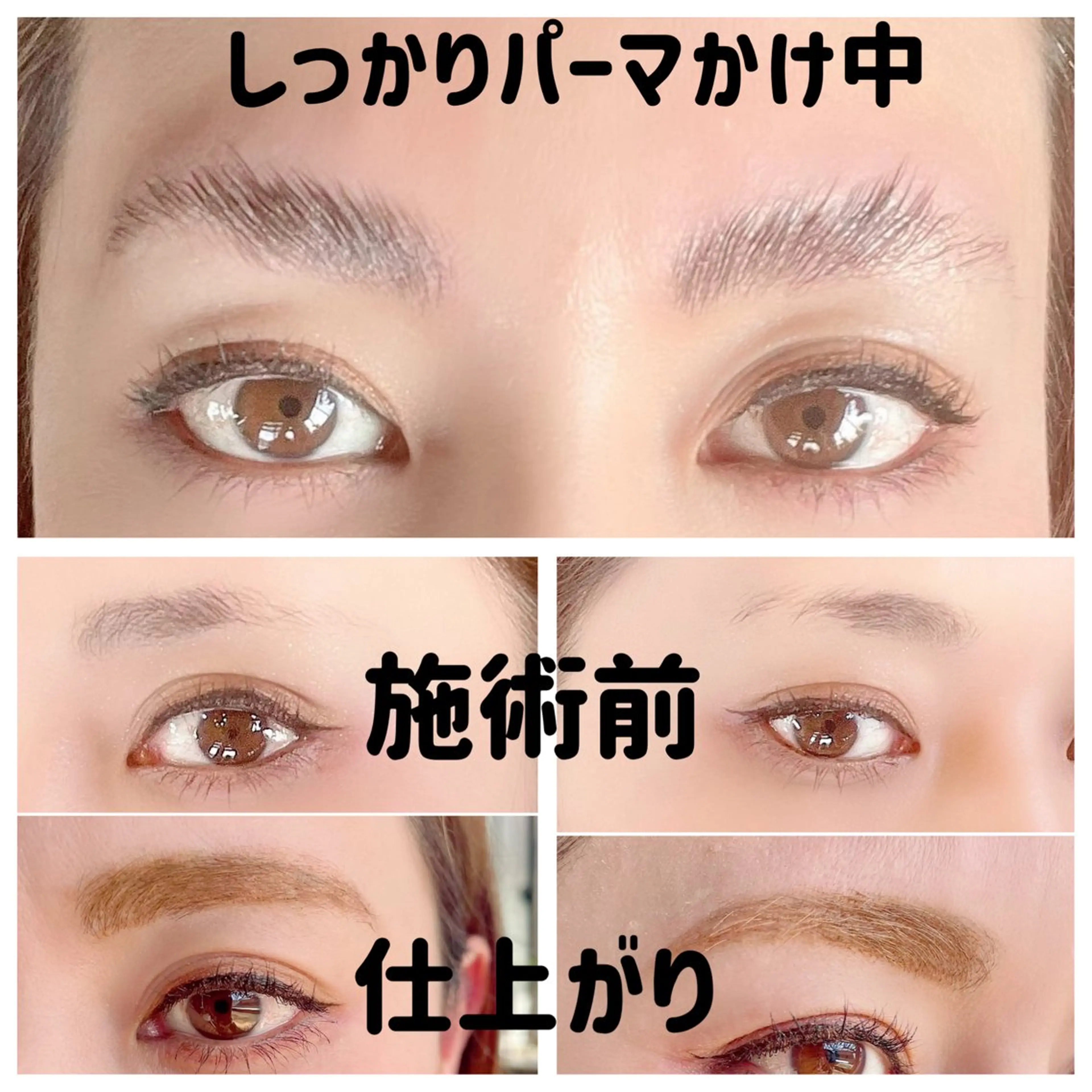 アイブロウ evergreen /眉毛•耳つぼの眉毛・アイブロウイメージ