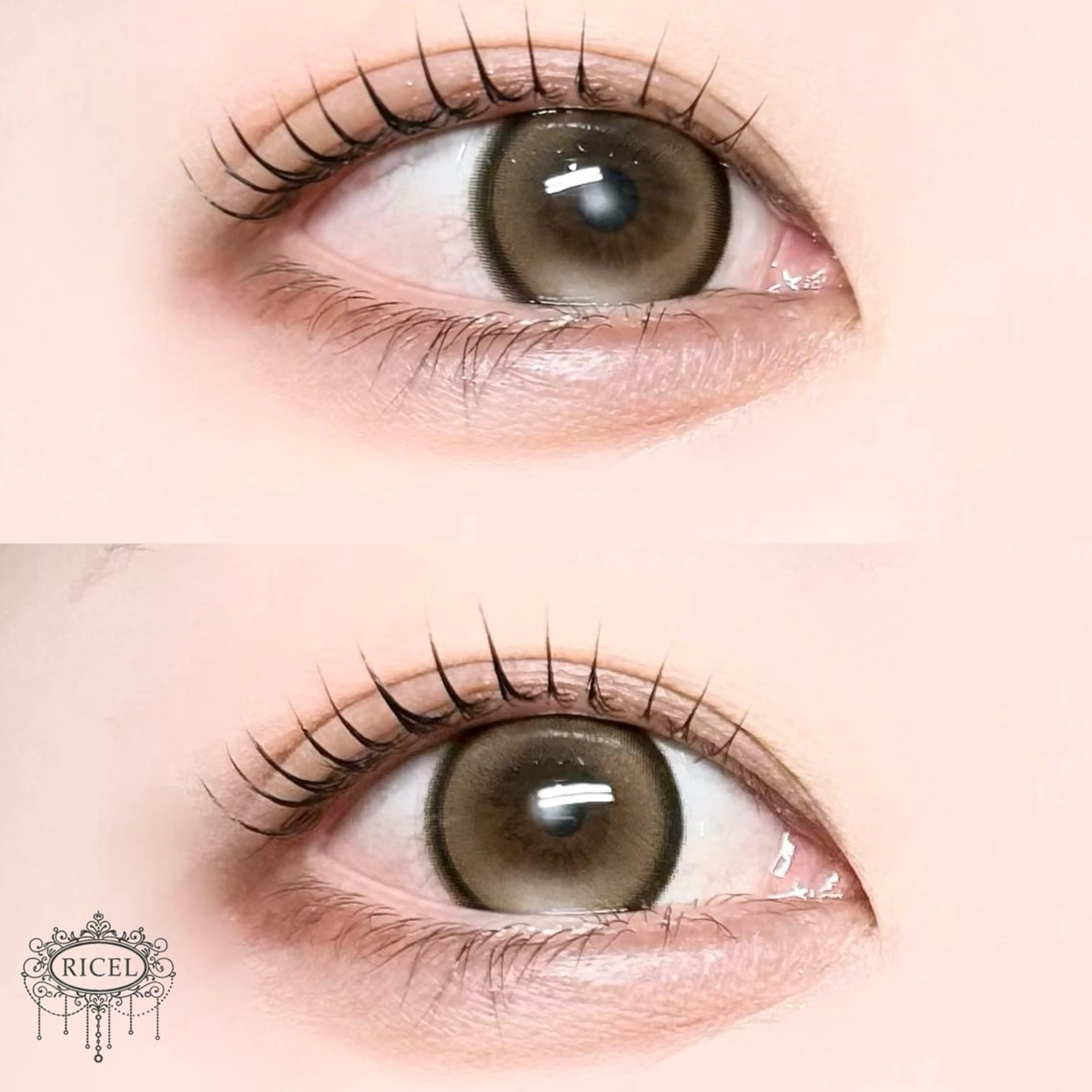 マツエク・マツパ Shiima ꪔ̤̮のマツエク・マツパデザイン