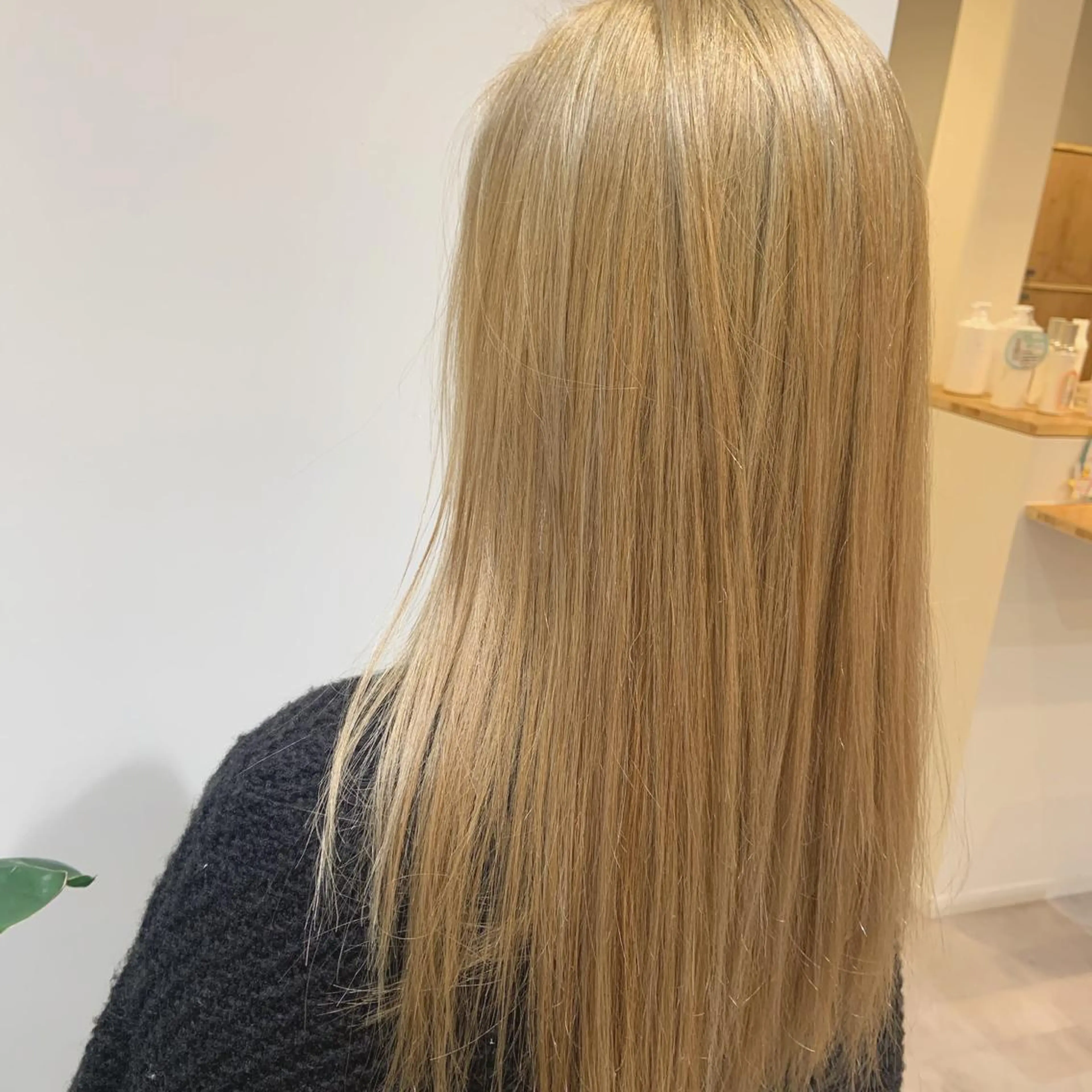 デザインカラーの写真