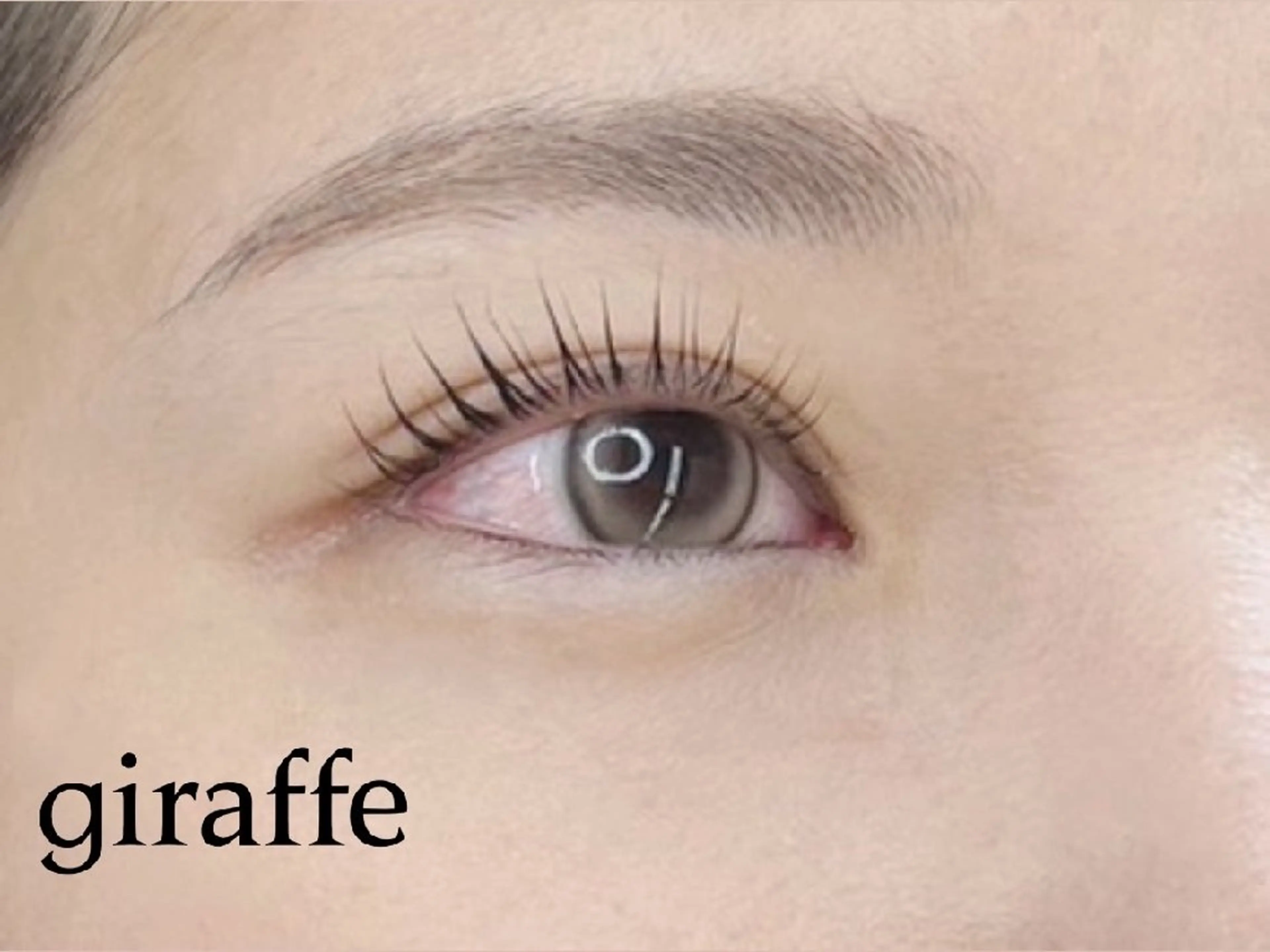 マツエク・マツパ giraffe  Eyelash  【ジラフ】所属・giraffe   💎Eyelash のマツエク・マツパデザイン