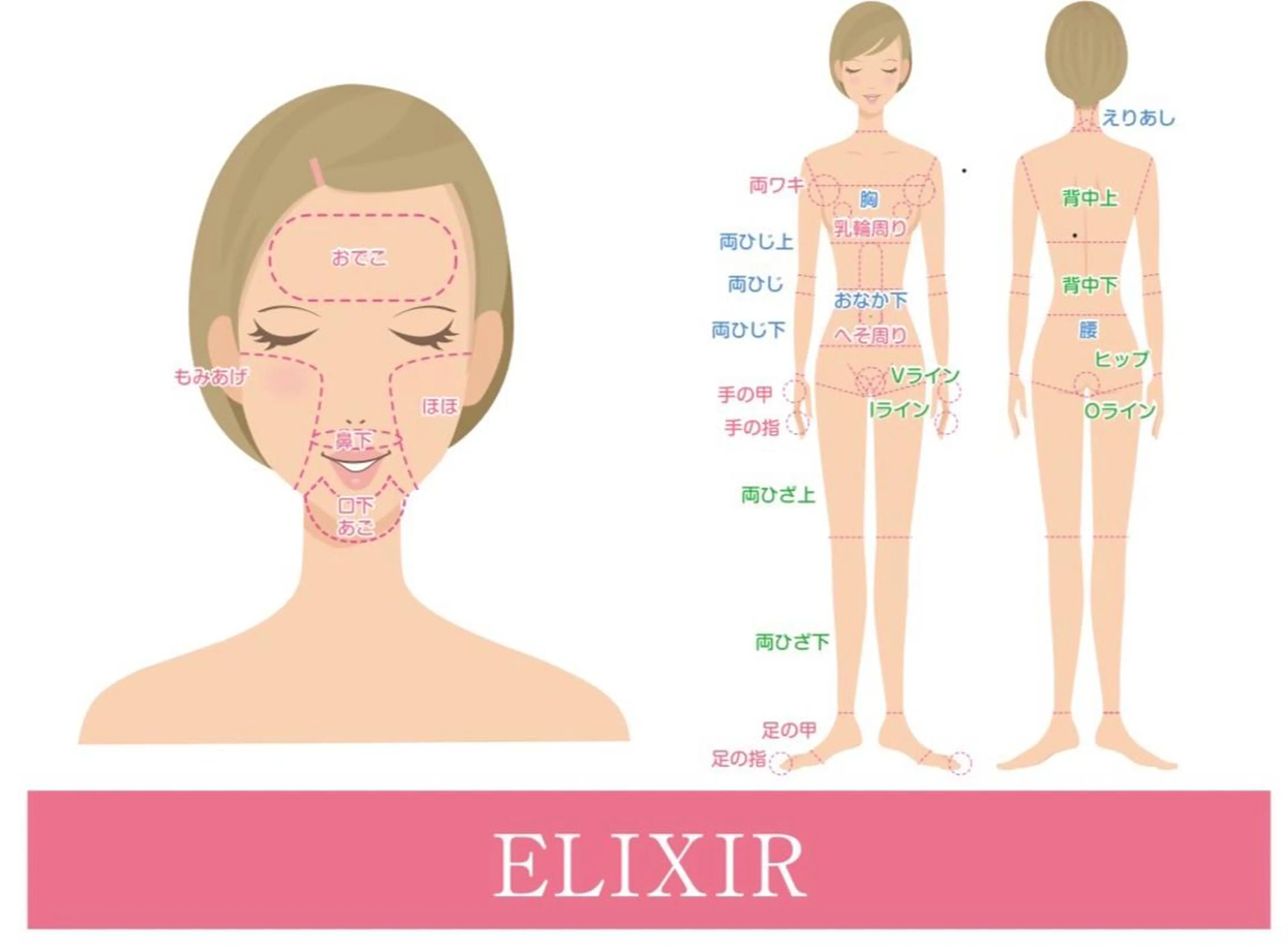 脱毛専門サロンELIXIR（ｴﾘｸｻｰ）所属・脱毛&ホワイトニング ELIXIR×ULTの眉毛・アイブロウイメージ