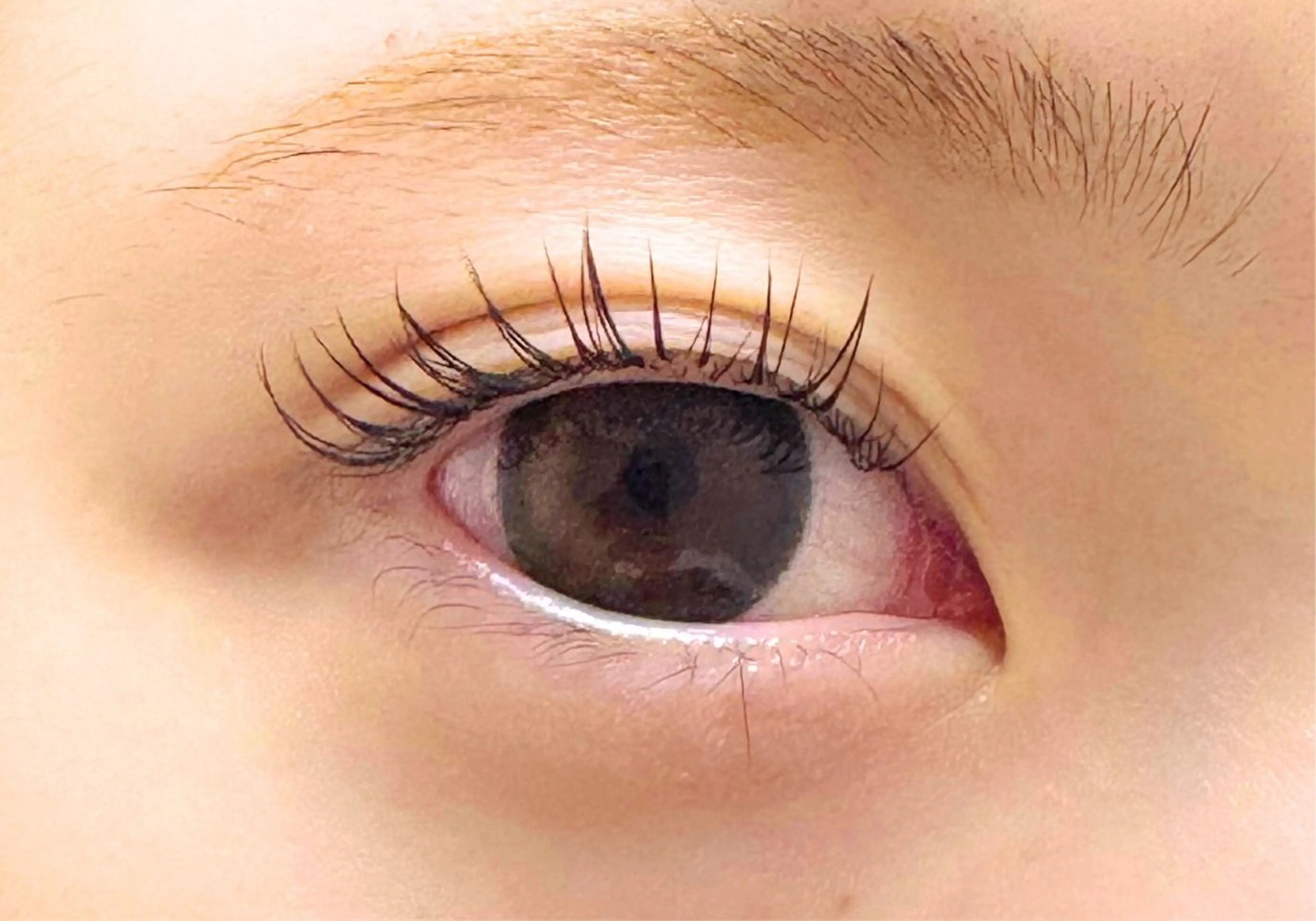 ⭐️モデル様募集⭐️オフ込み!!  LEDエクステ(フラットラッシュ80本or100本)×まつ毛パーマの写真