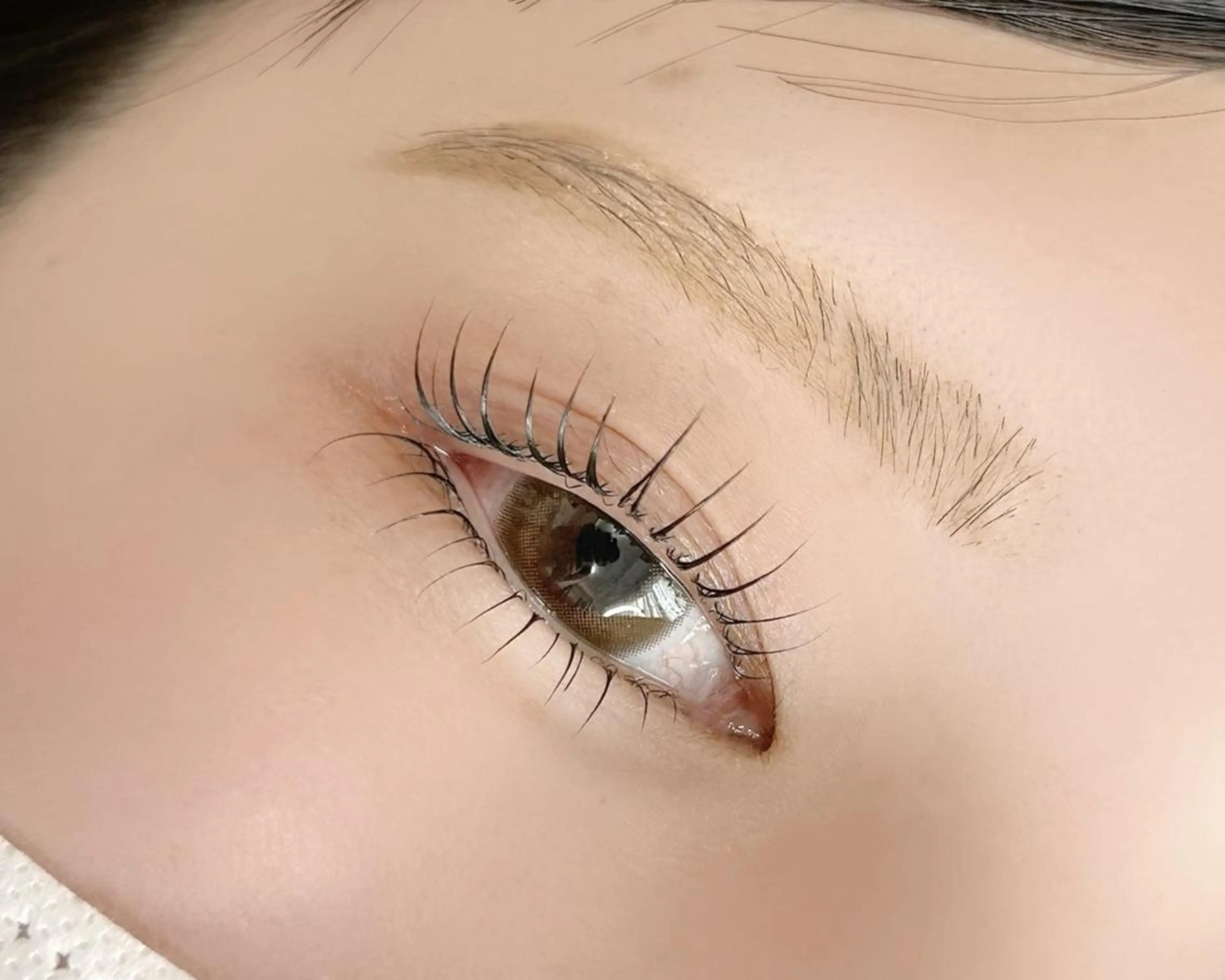 マツエク・マツパ マツパ lieu pré eyelashの眉毛・アイブロウイメージ