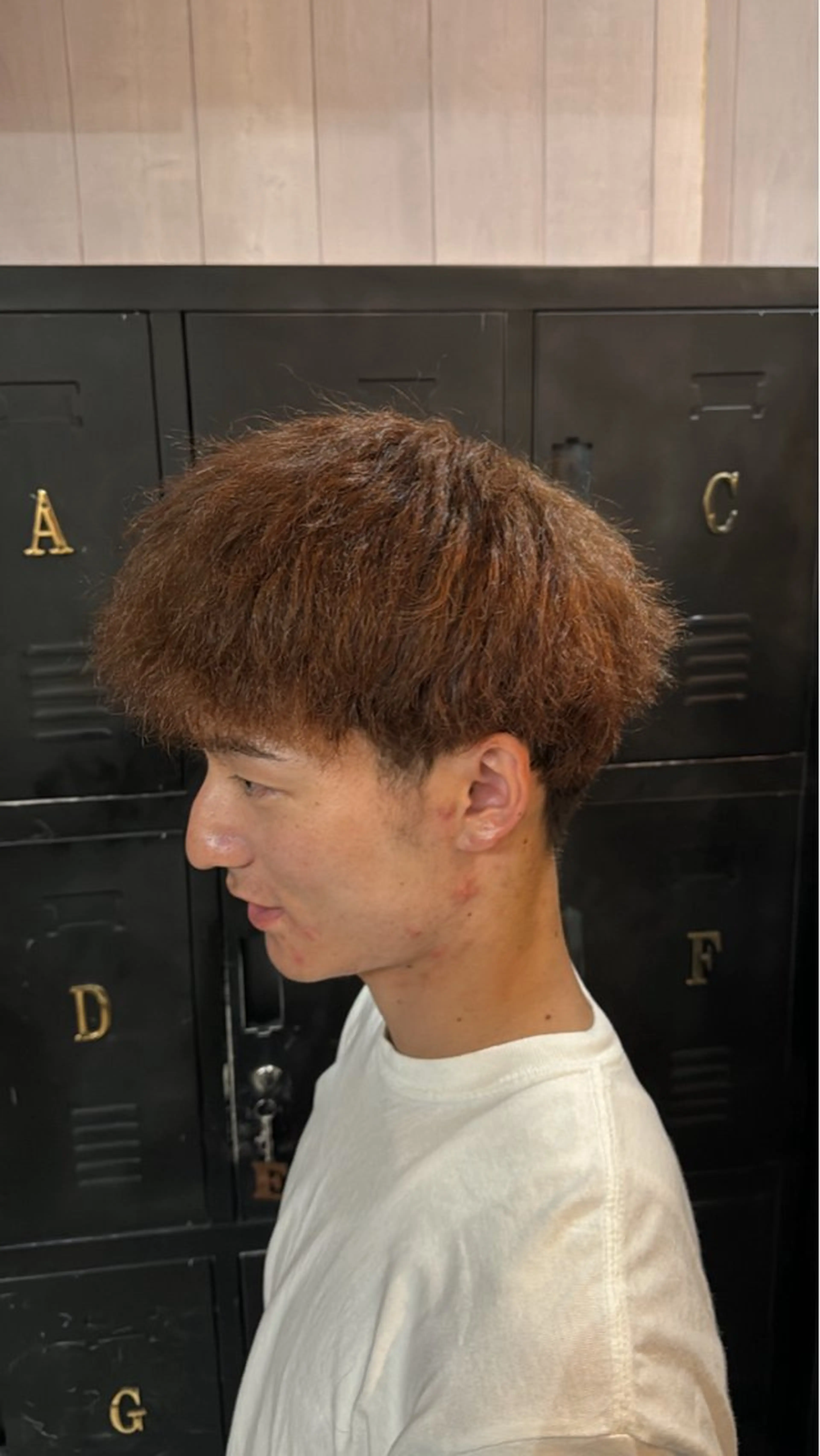 ワンカラーの写真