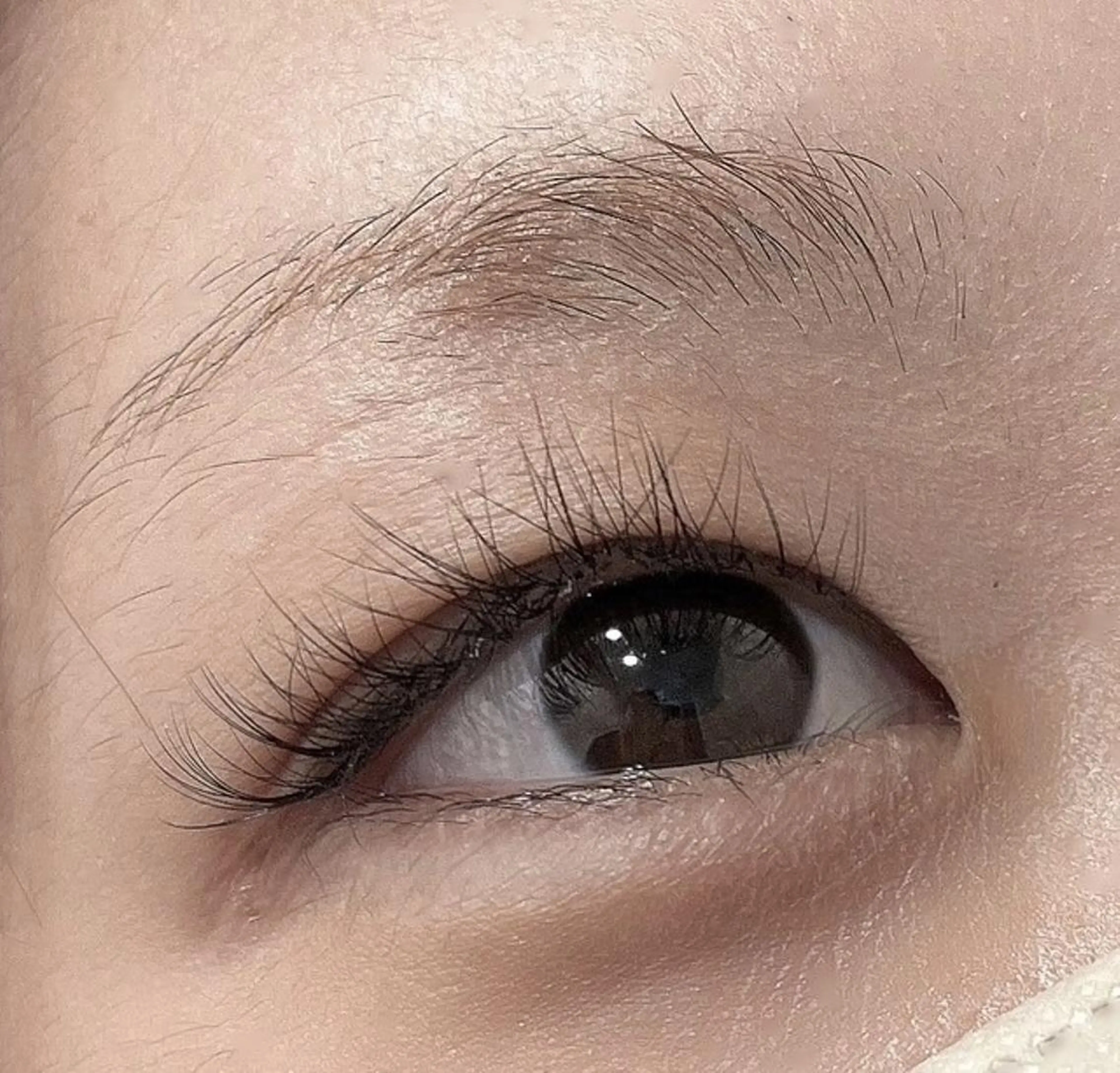 マツエク・マツパ フラットラッシュ salonmeili ＊ミキのマツエク・マツパデザイン