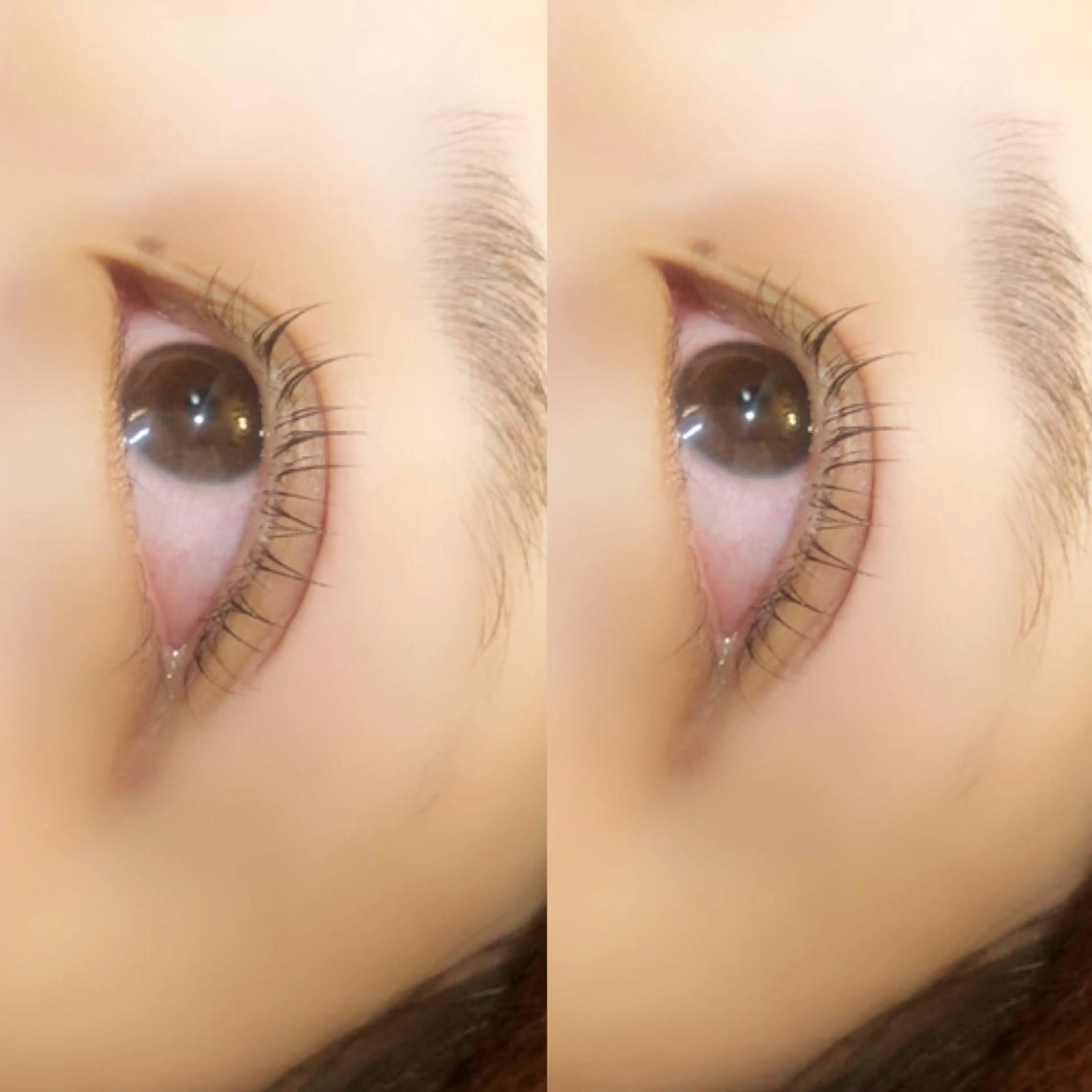 マツエク・マツパ om's eye. erikaのマツエク・マツパデザイン