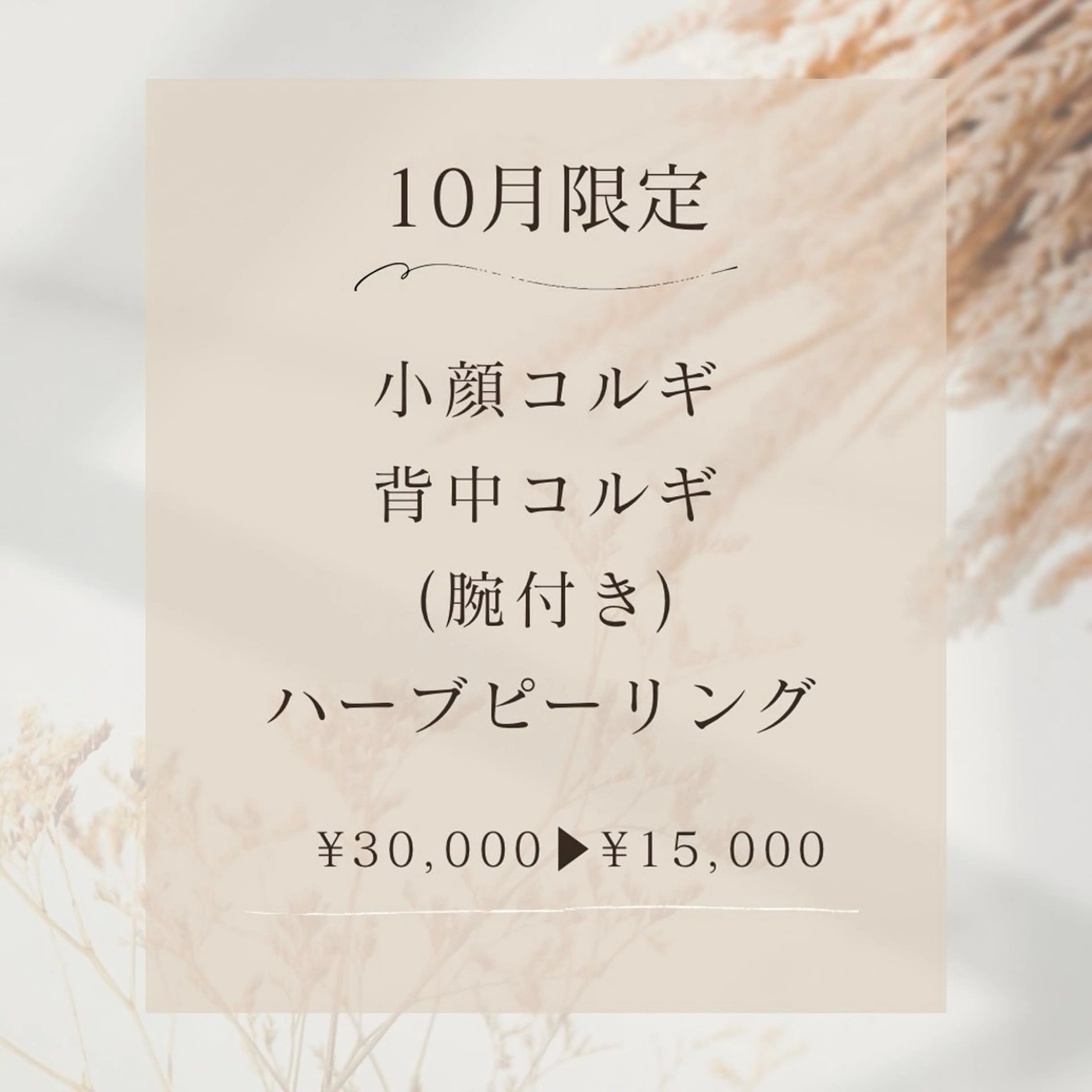 【10月5名様限定】小顔コルギ&背中コルギ[腕付き］orハーブピーリング計120分の写真