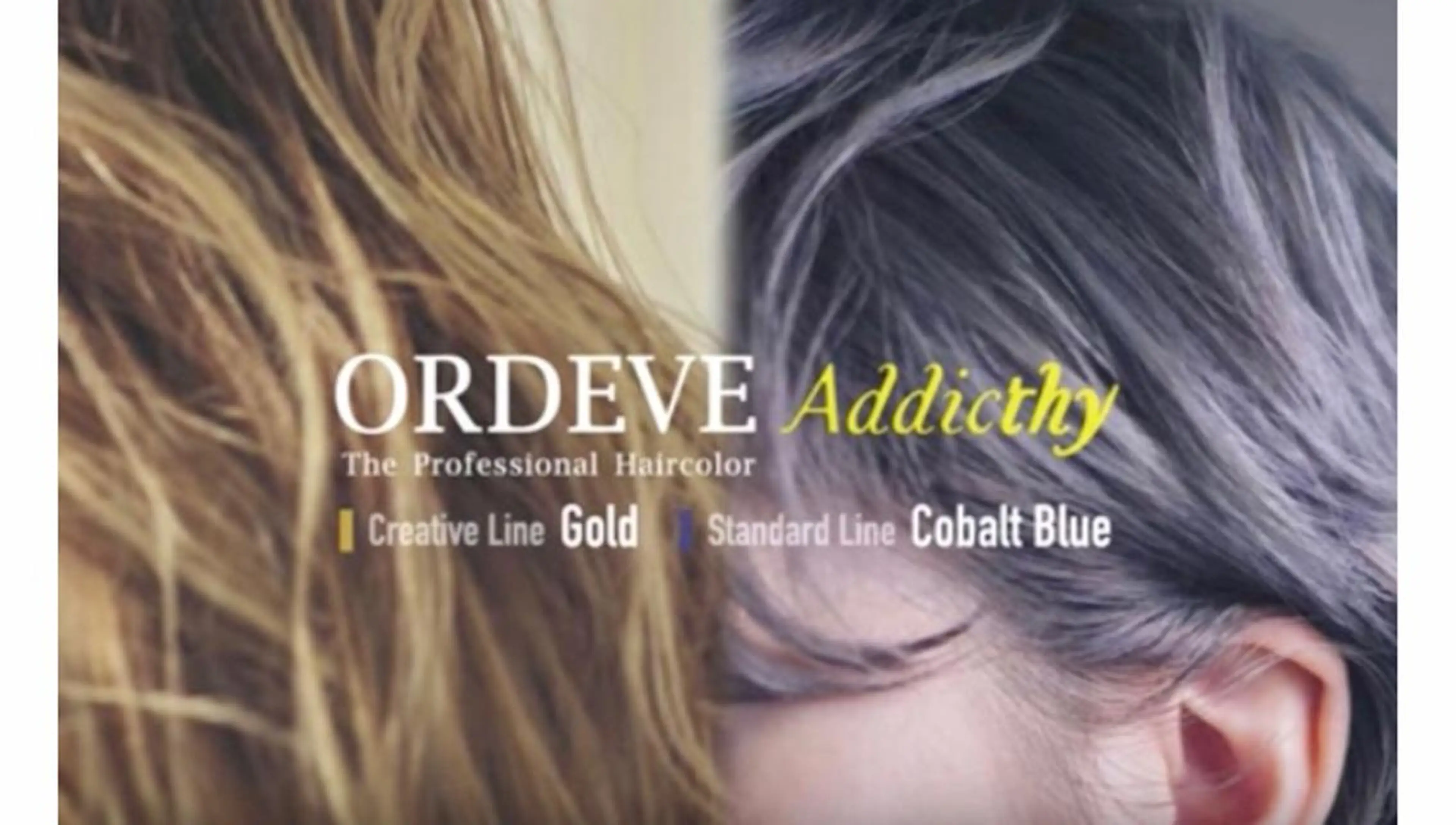 nolla(ノーラ)所属・YOKOI SHINJIのヘアスタイル