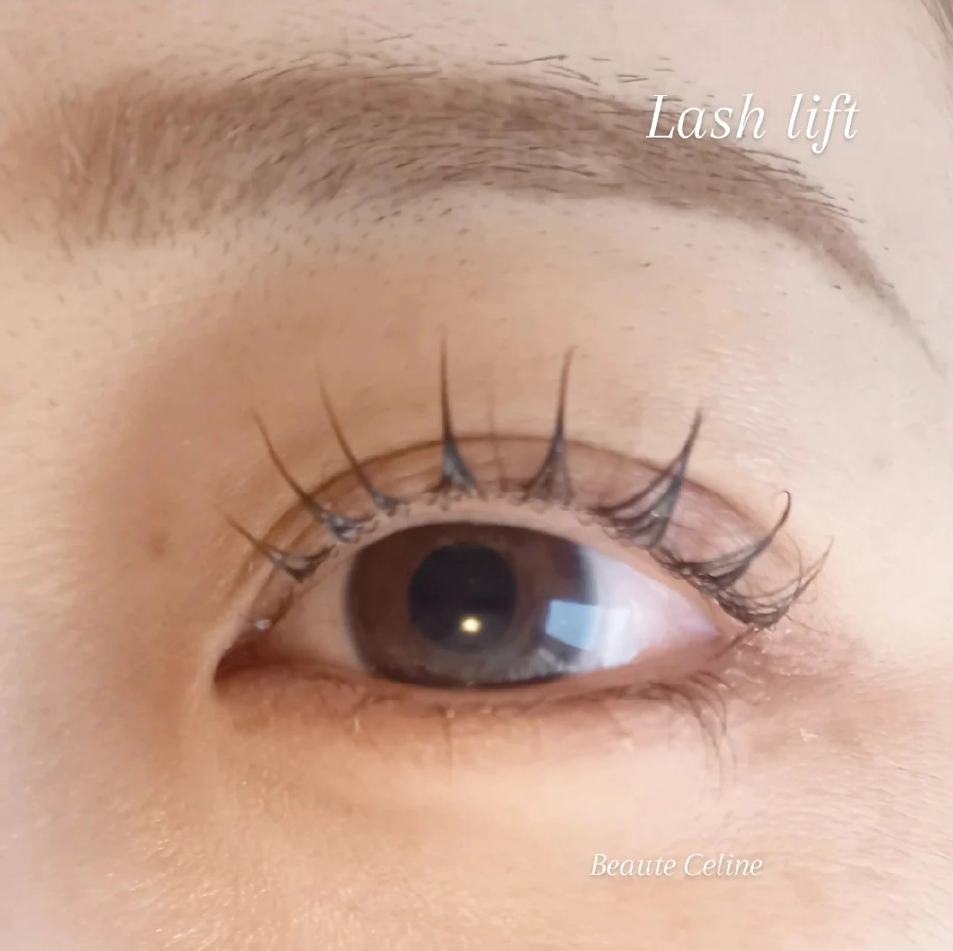 マツエク・マツパ 束感まつ毛 マツパ beaute.celine所属・ぱっちりパーマ🌛 ボーテCelineのマツエク・マツパデザイン