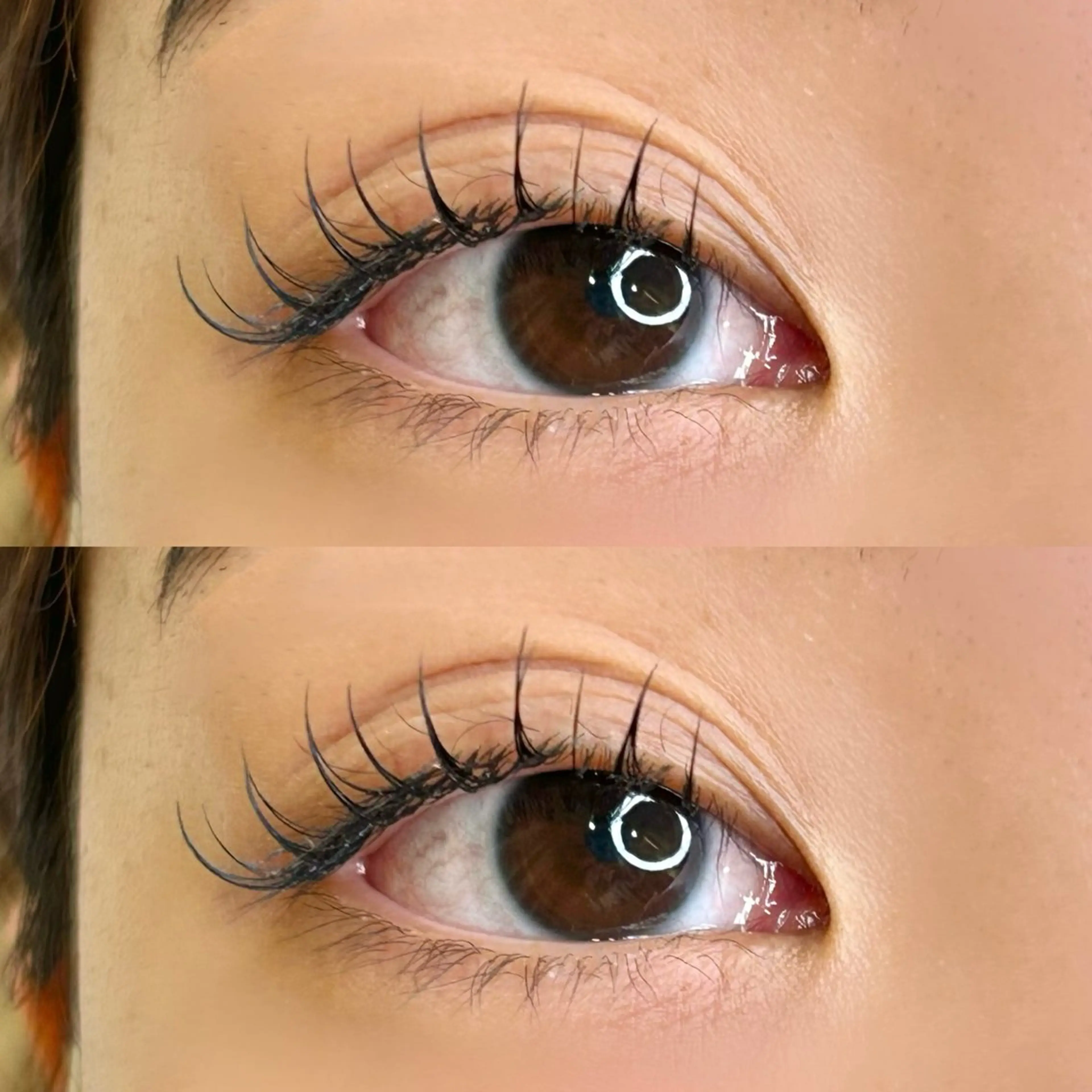 マツエク・マツパ 束感まつ毛 CCカール Cカール フラットラッシュ まつパ/マツエク/ 渋谷momokaのマツエク・マツパデザイン