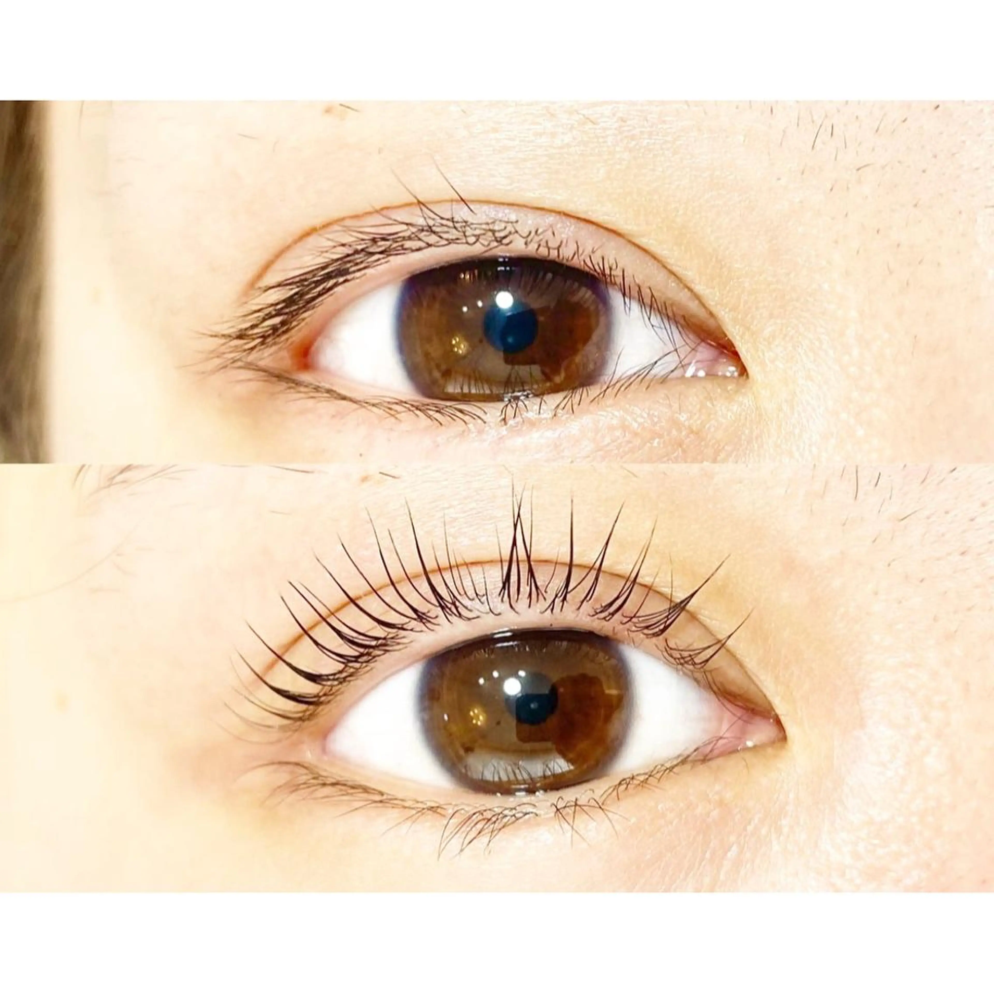 マツエク・マツパ étora eye渋谷のマツエク・マツパデザイン