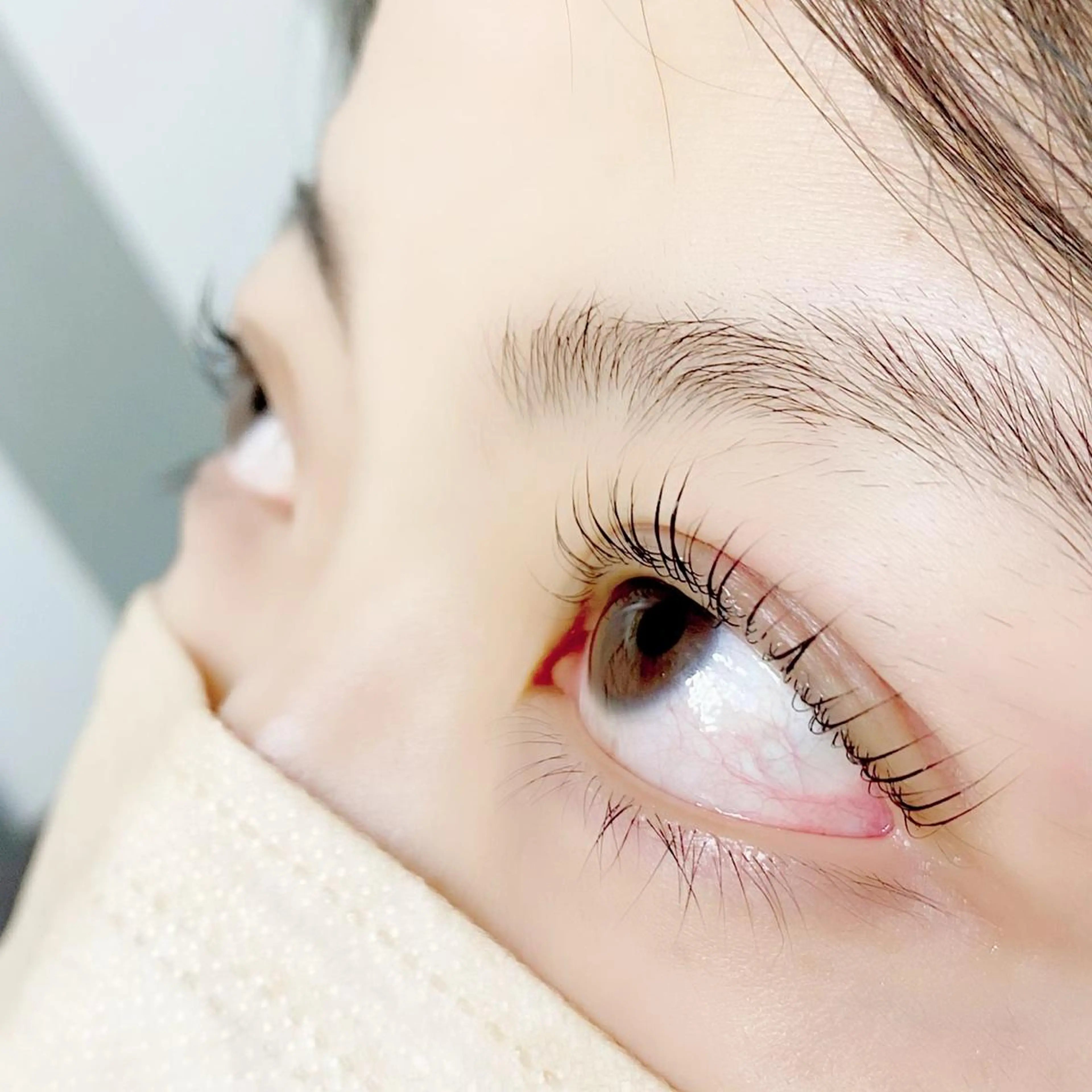 マツエク・マツパ Lily所属・横浜/鶴屋町/美容室 LilyHitomiの眉毛・アイブロウイメージ