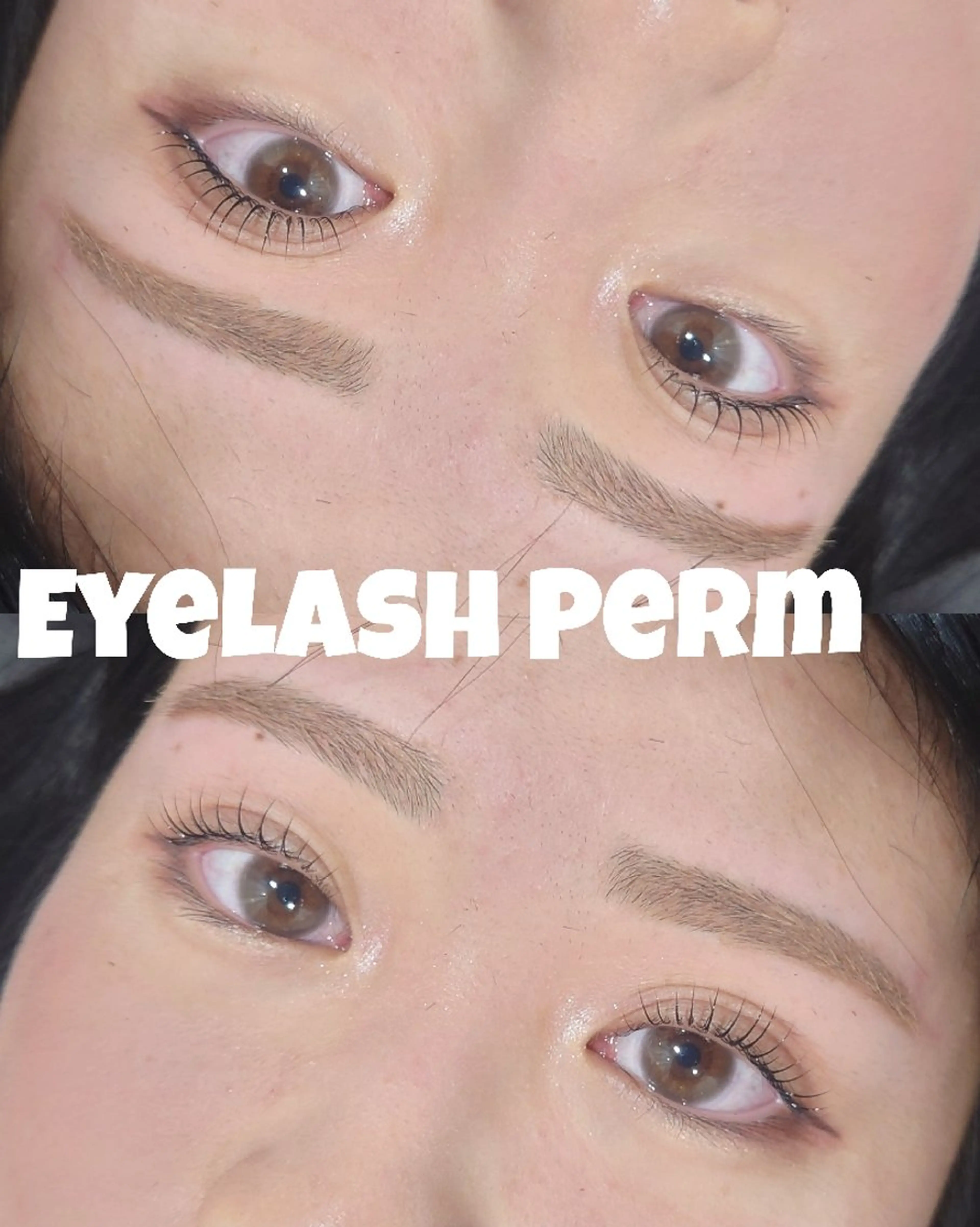 【minimo限定】👑まつ毛パーマorパリジェンヌ+眉毛waxの写真