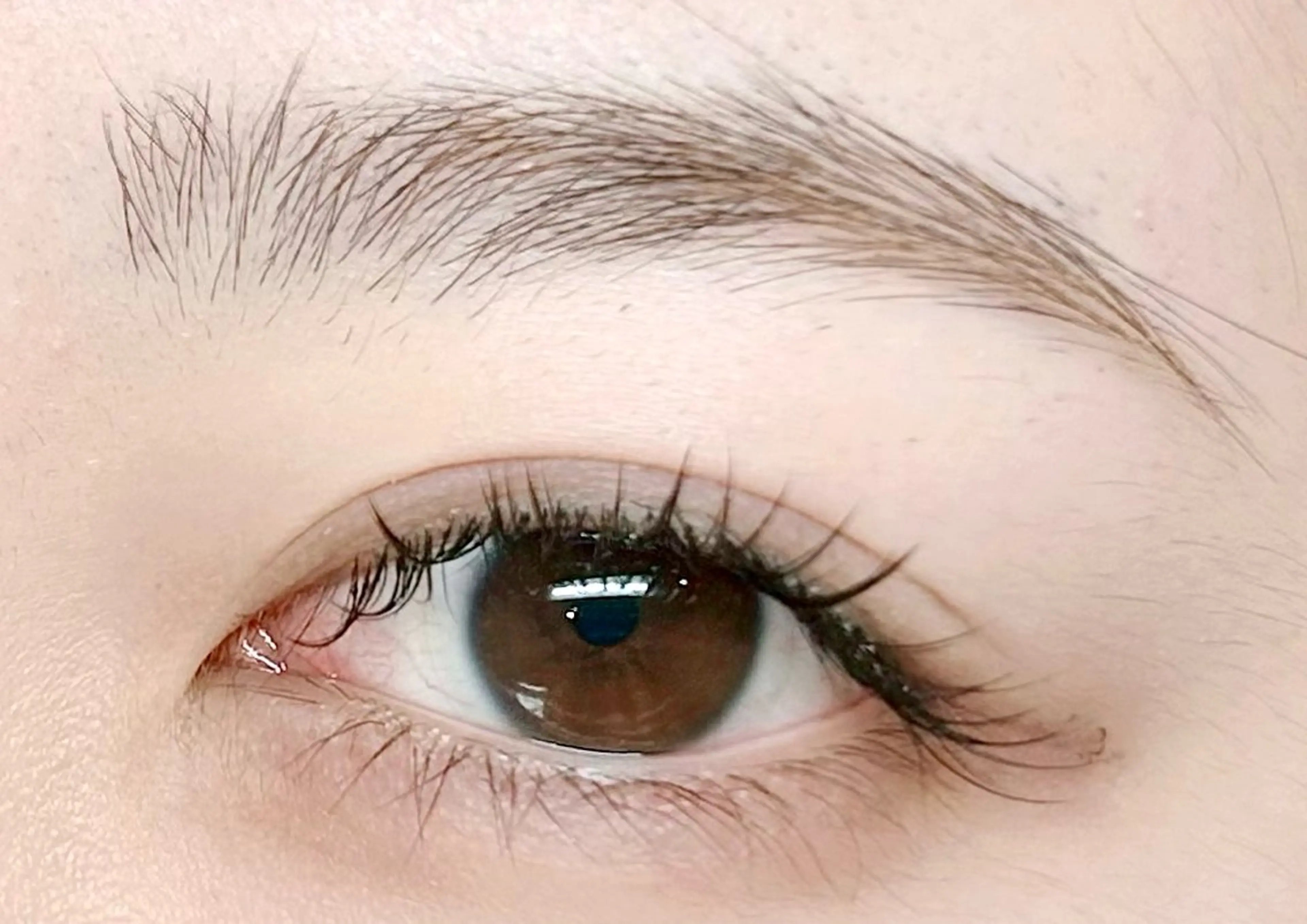 フラットラッシュ両目120本の写真