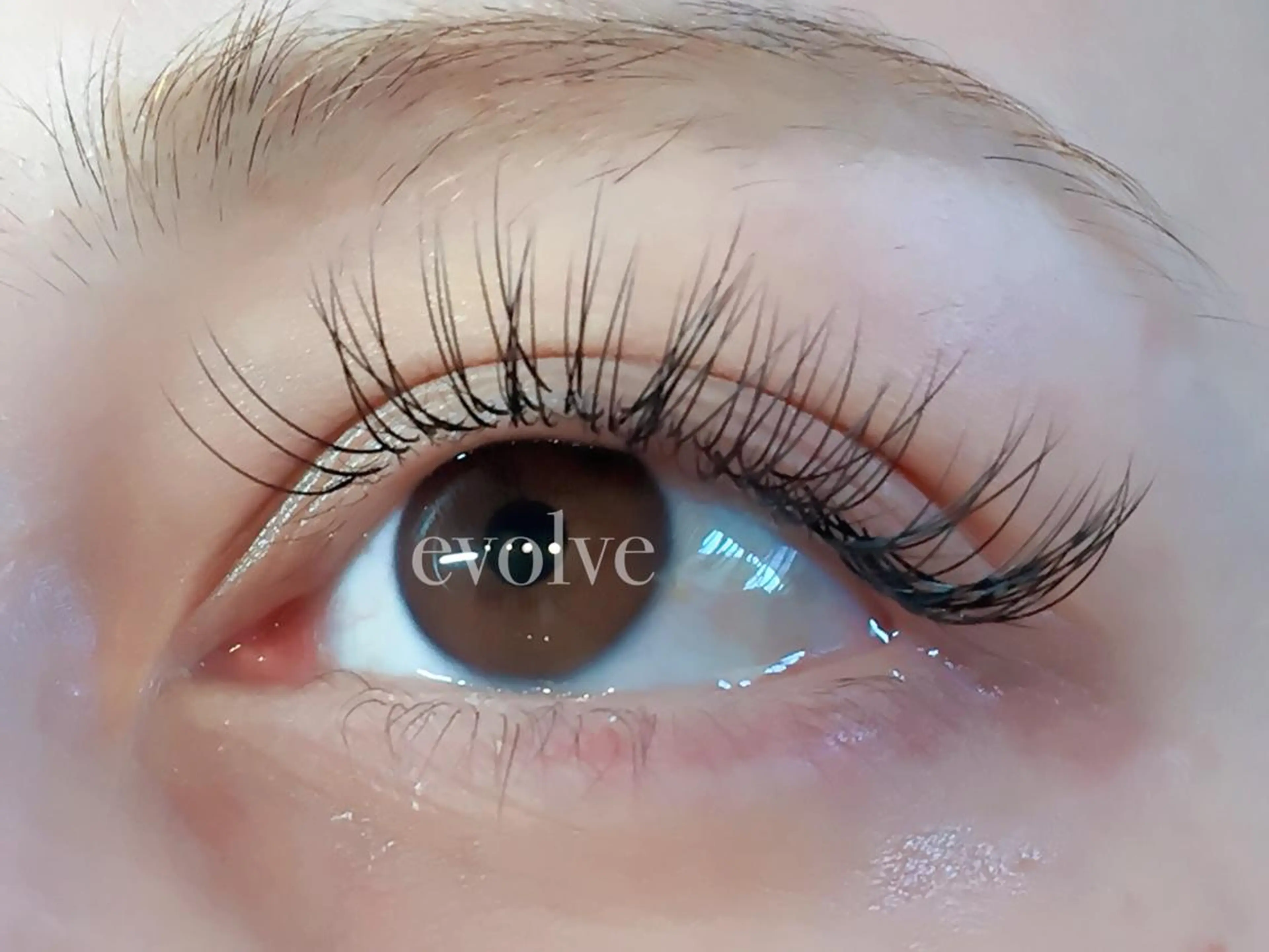 マツエク・マツパ Cカール 目尻長め evolve by TypeAB所属・evolve  by TypeABのマツエク・マツパデザイン