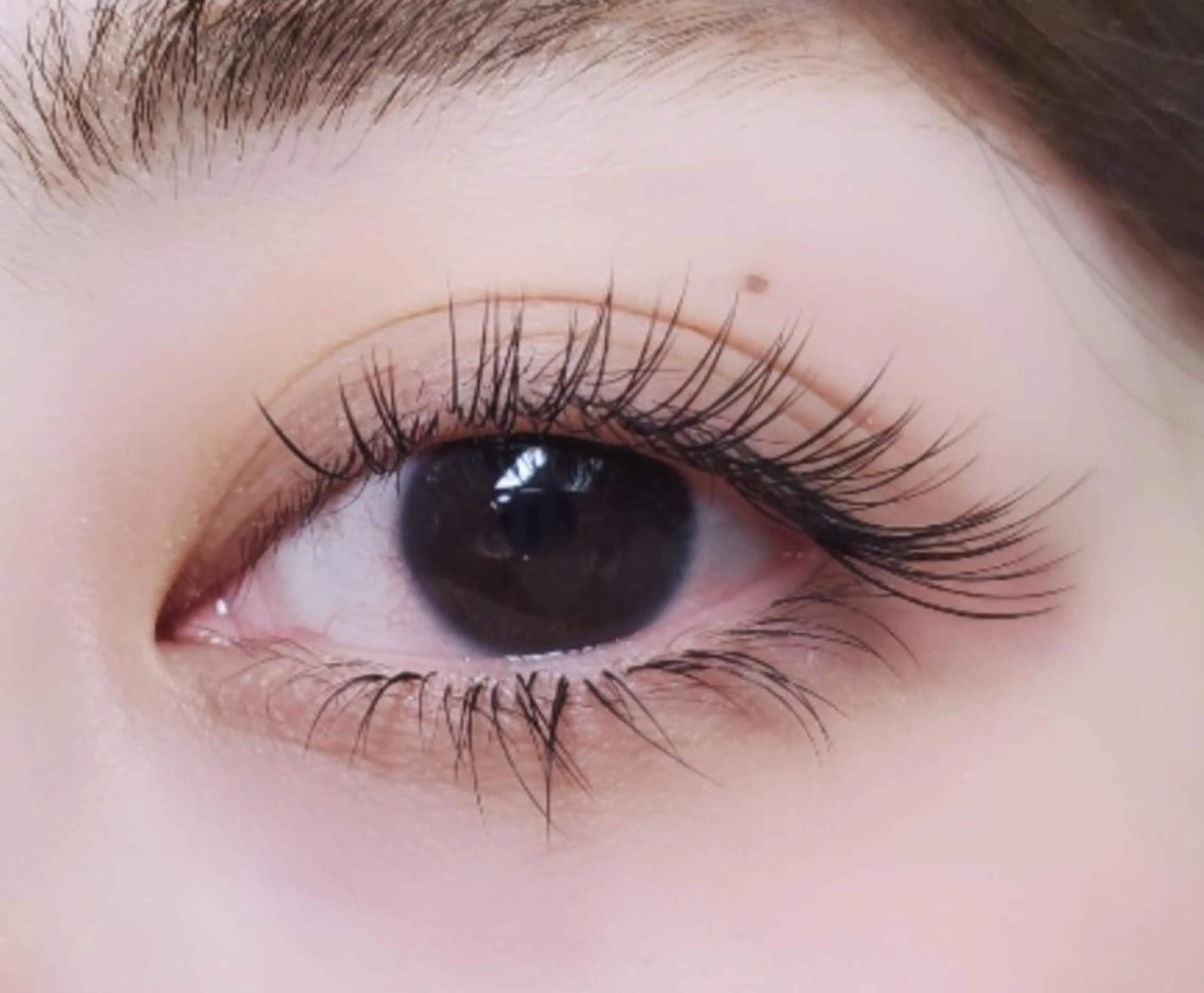マツエク・マツパ フラットラッシュ eyelashsalon   rocolush 所属・★Hoshino★ 新宿西口 ·͜·🌟のマツエク・マツパデザイン