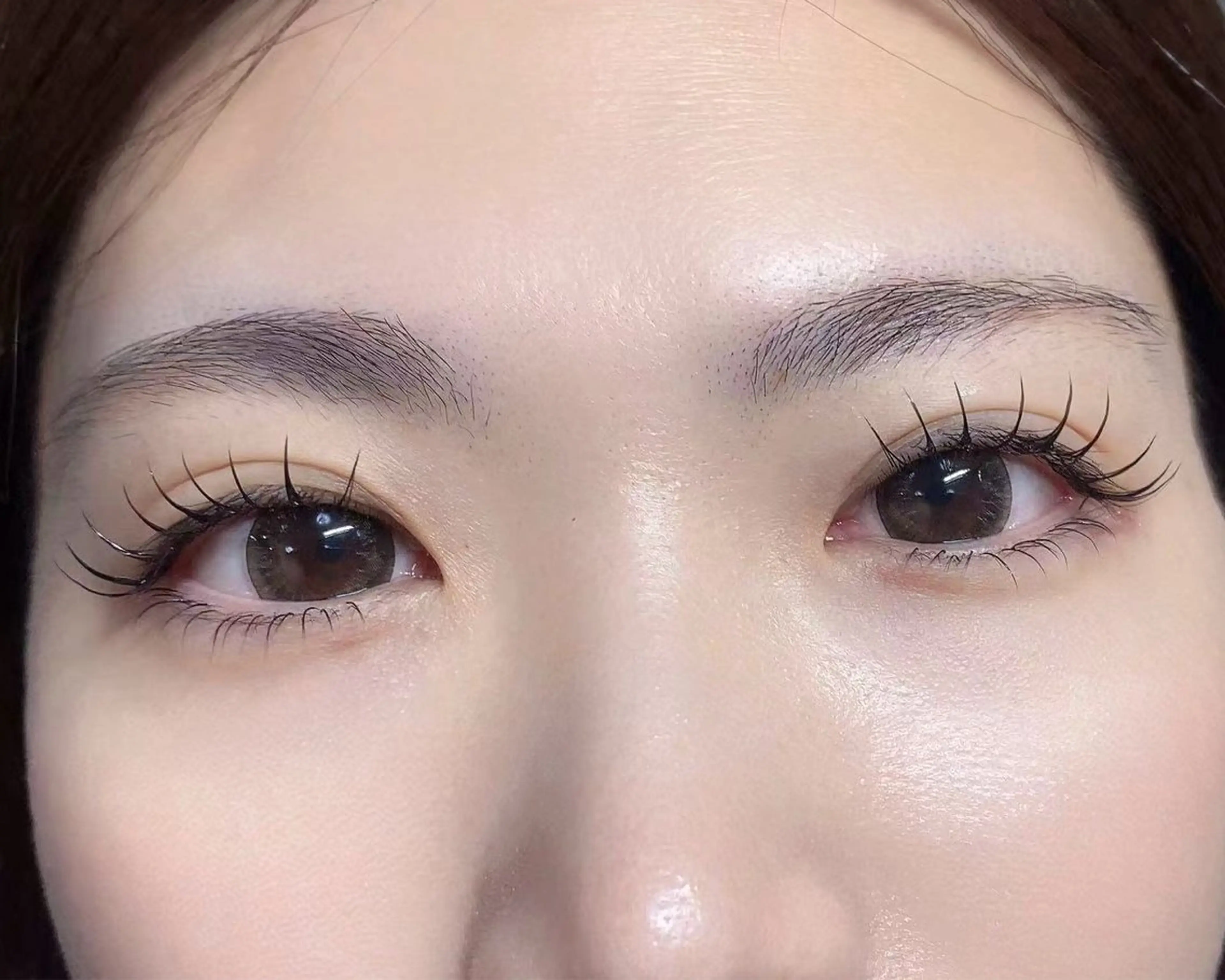 フラットラッシュ100本の写真