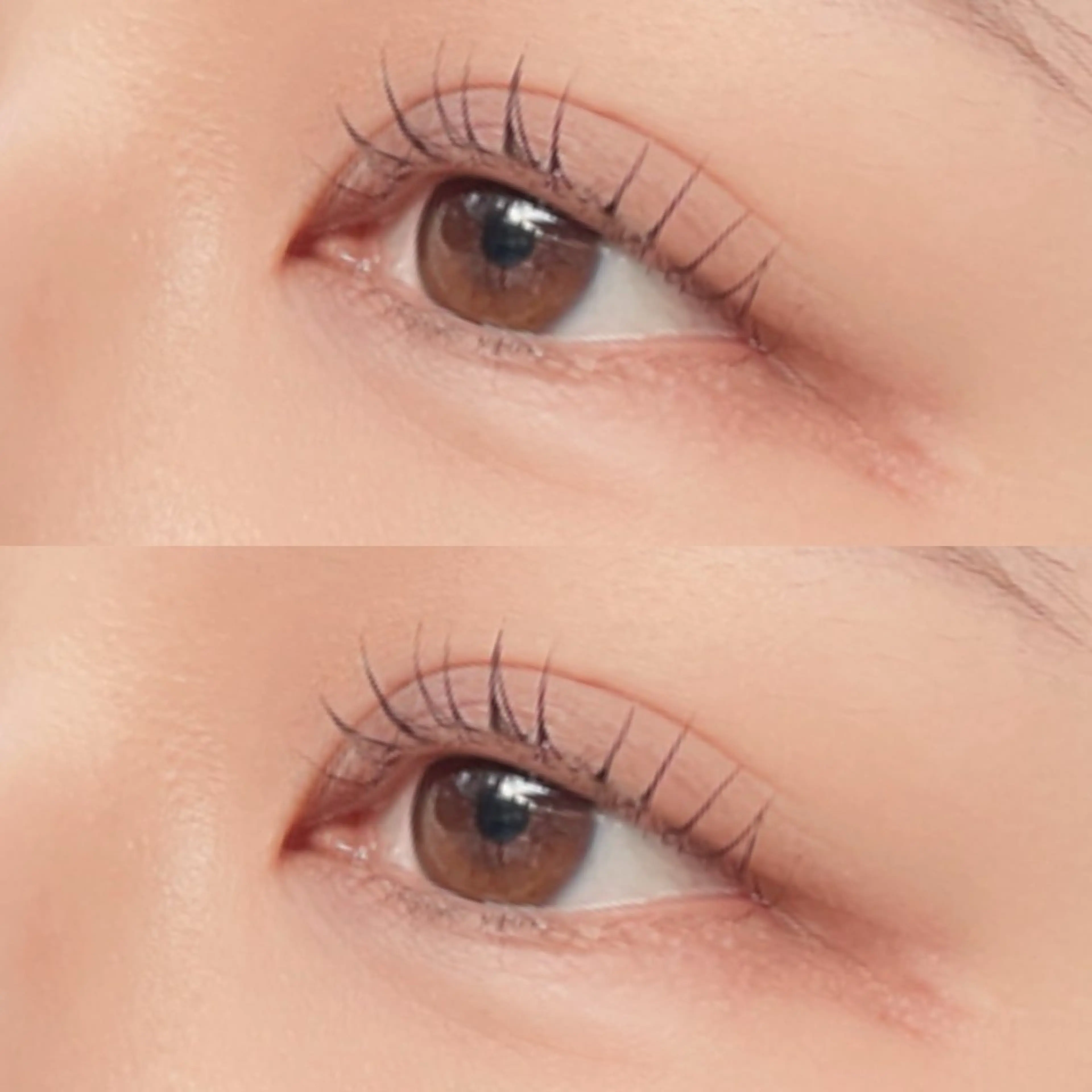 マツエク・マツパ リフュージュ　隠れ家所属・リフュージュ🌷 カホのマツエク・マツパデザイン