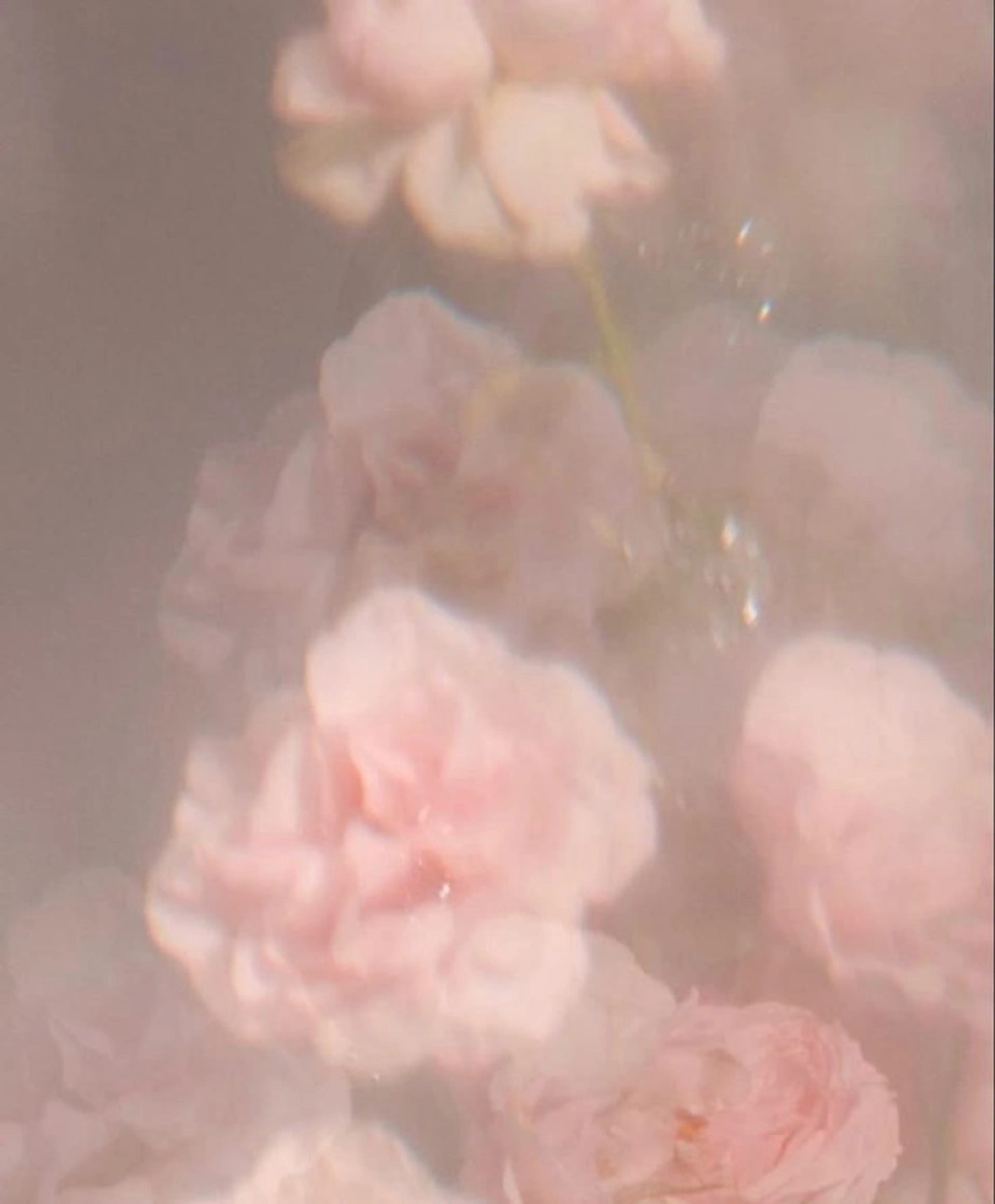 マツエク・マツパ マツパ 🐣slange 横浜 あや🌼のマツエク・マツパデザイン