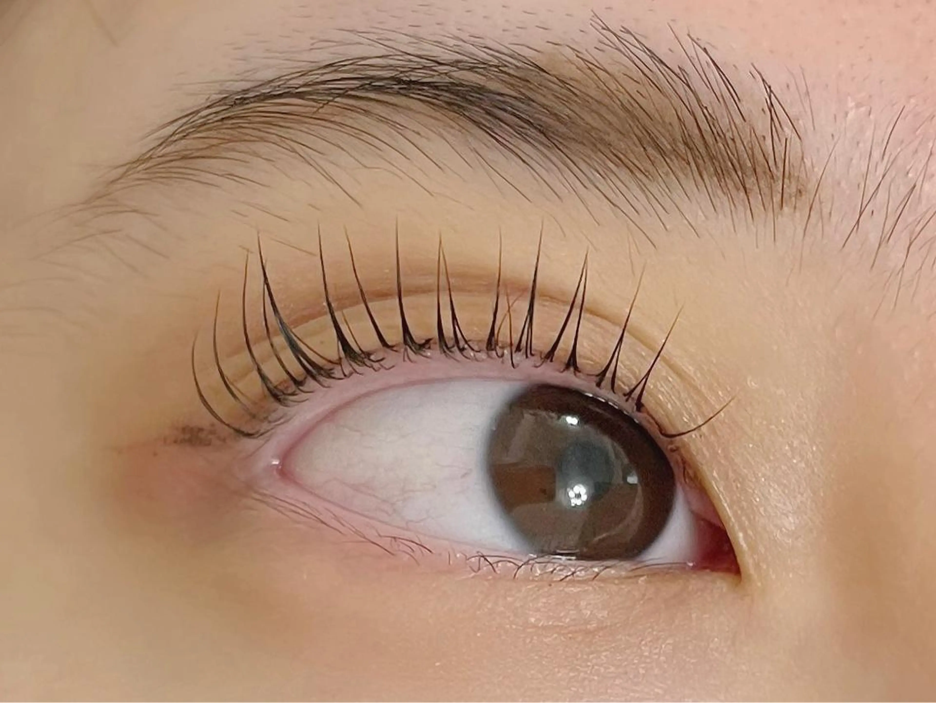 マツエク・マツパ Air+<PLUS>森下店所属・橋本 朋佳のマツエク・マツパデザイン