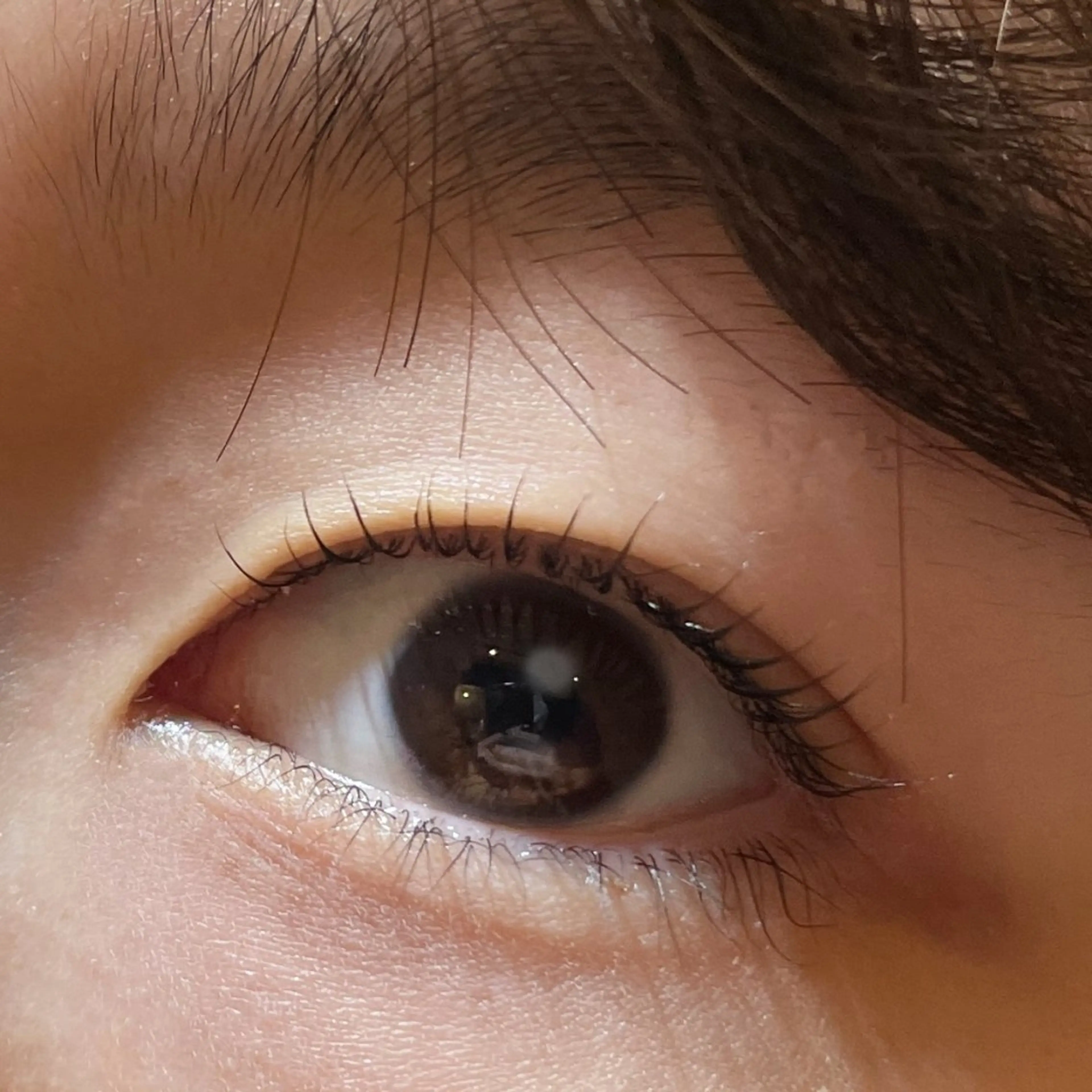 マツエク・マツパ ナチュラル 🩶re,eye _yuina 🩶のマツエク・マツパデザイン